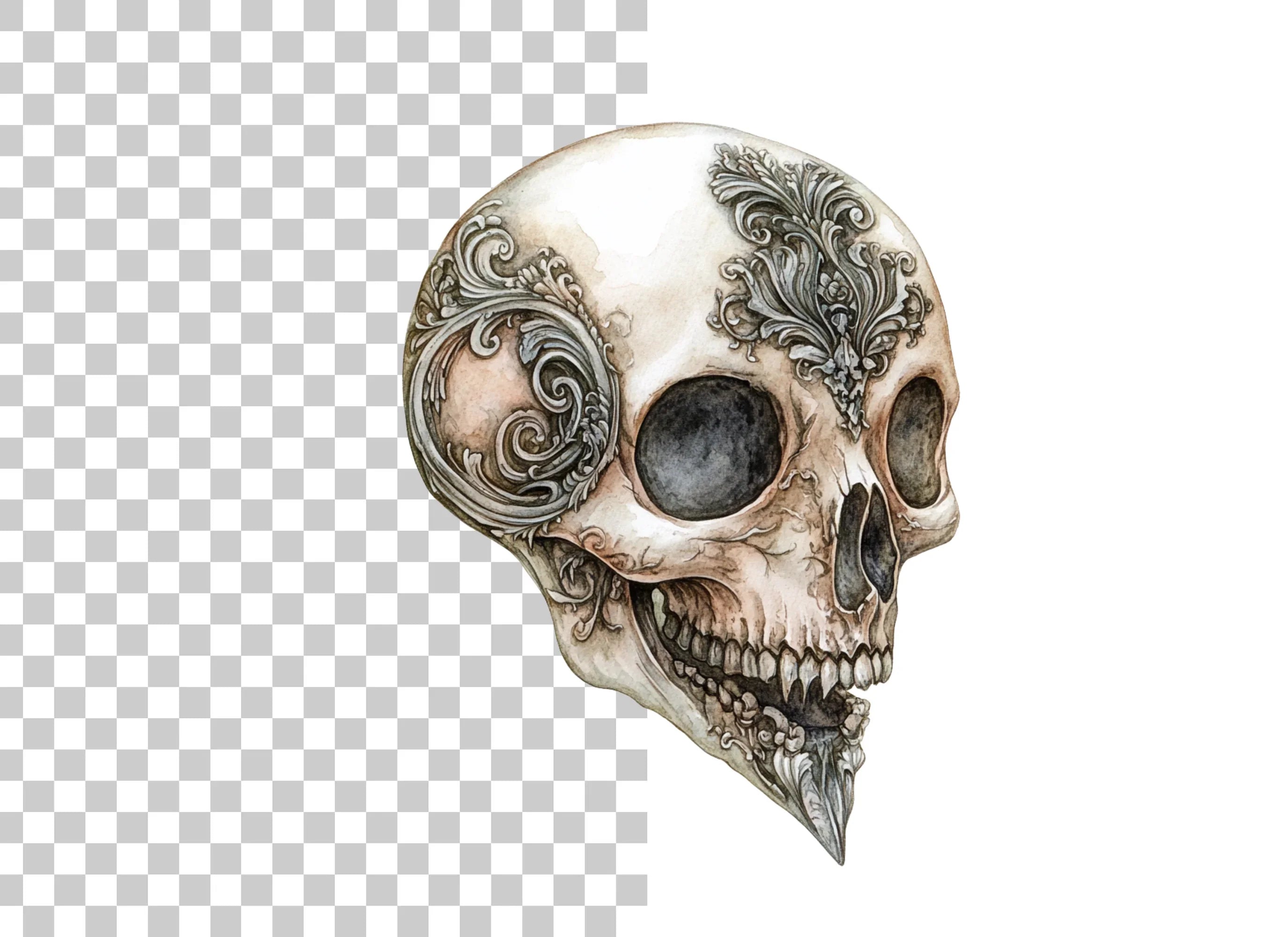 Ornate Bird Skull Clipart Bundle