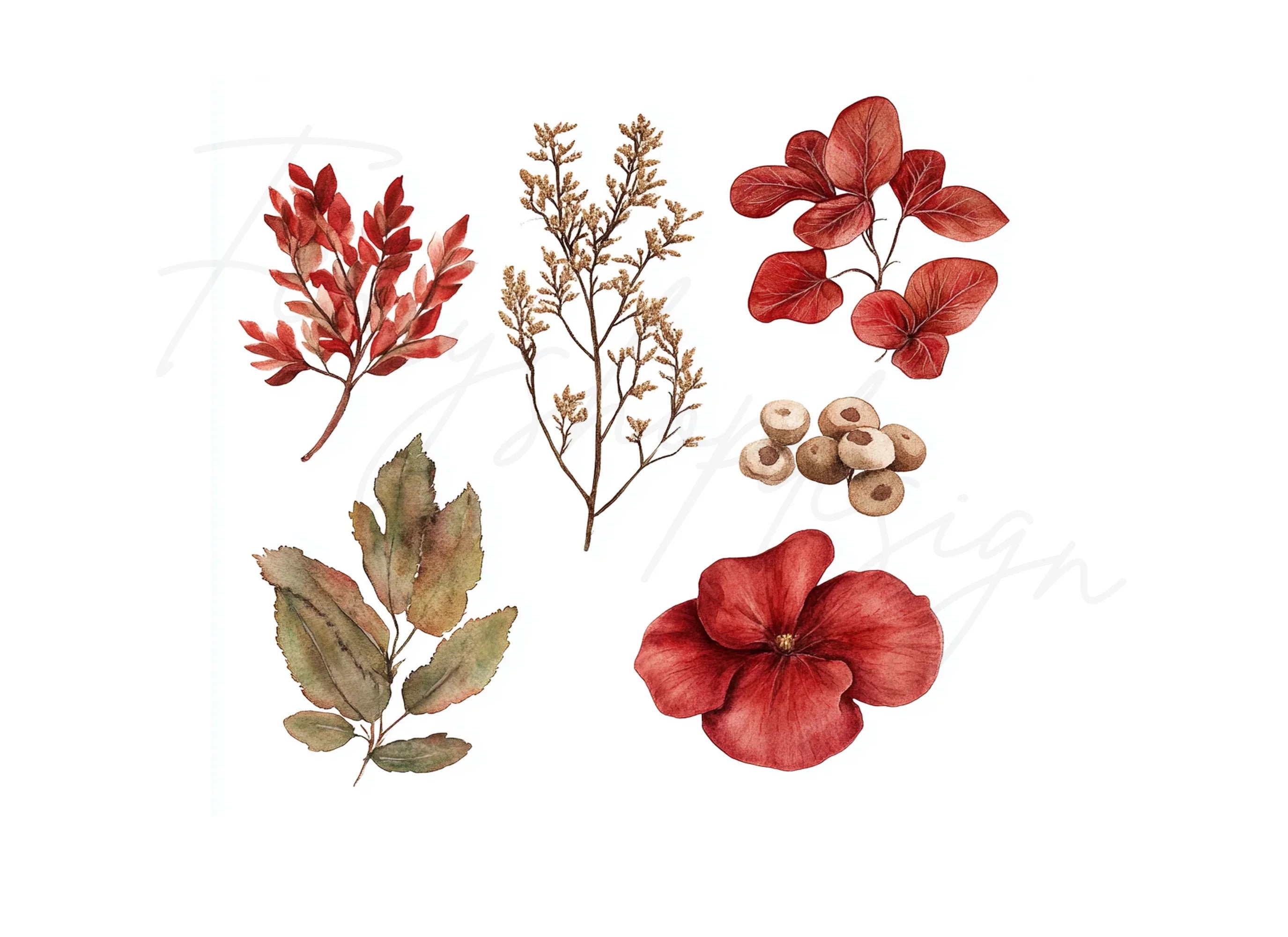 Red Floral Clipart Bundle