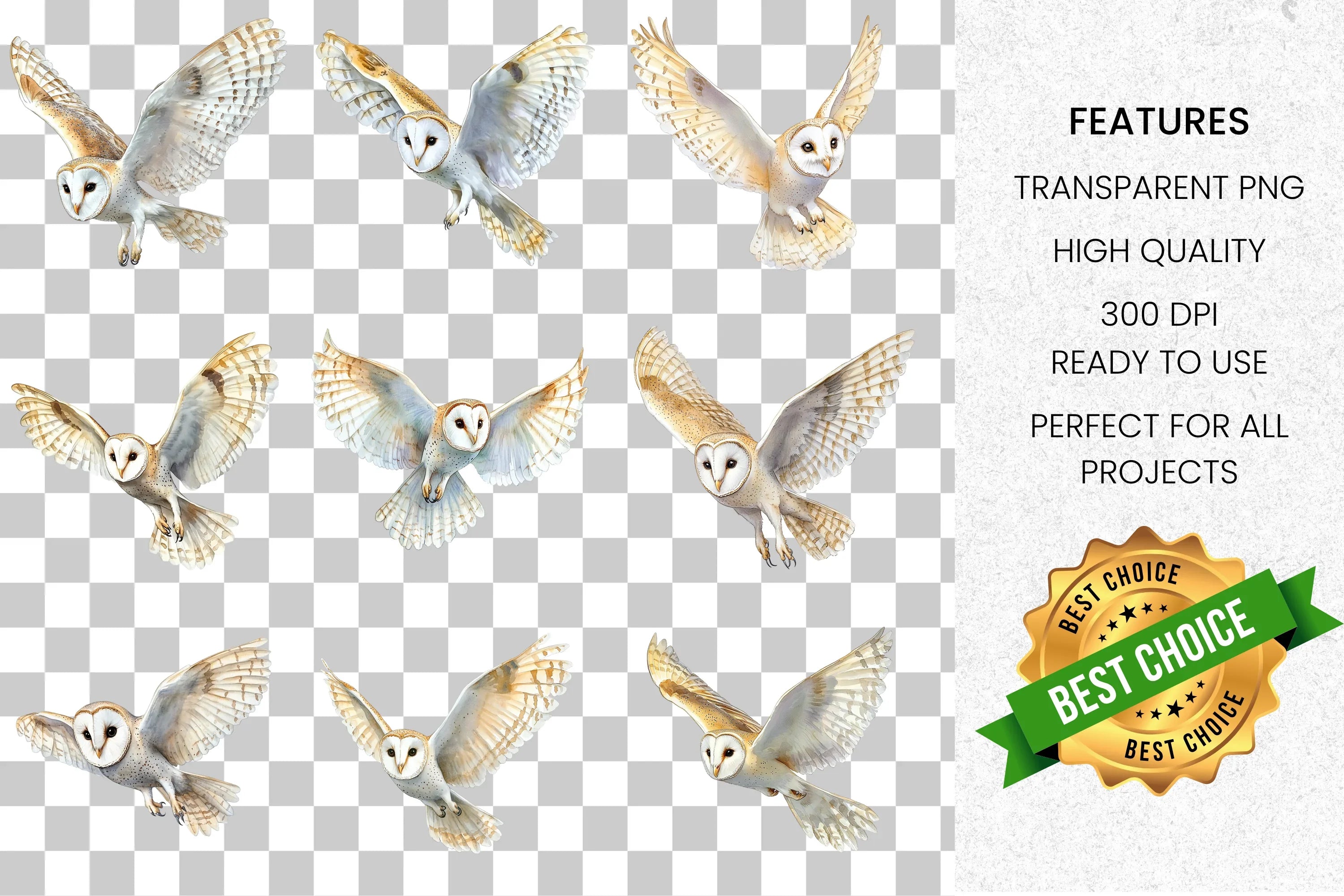 Barn Owl Flying Clipart Bundle