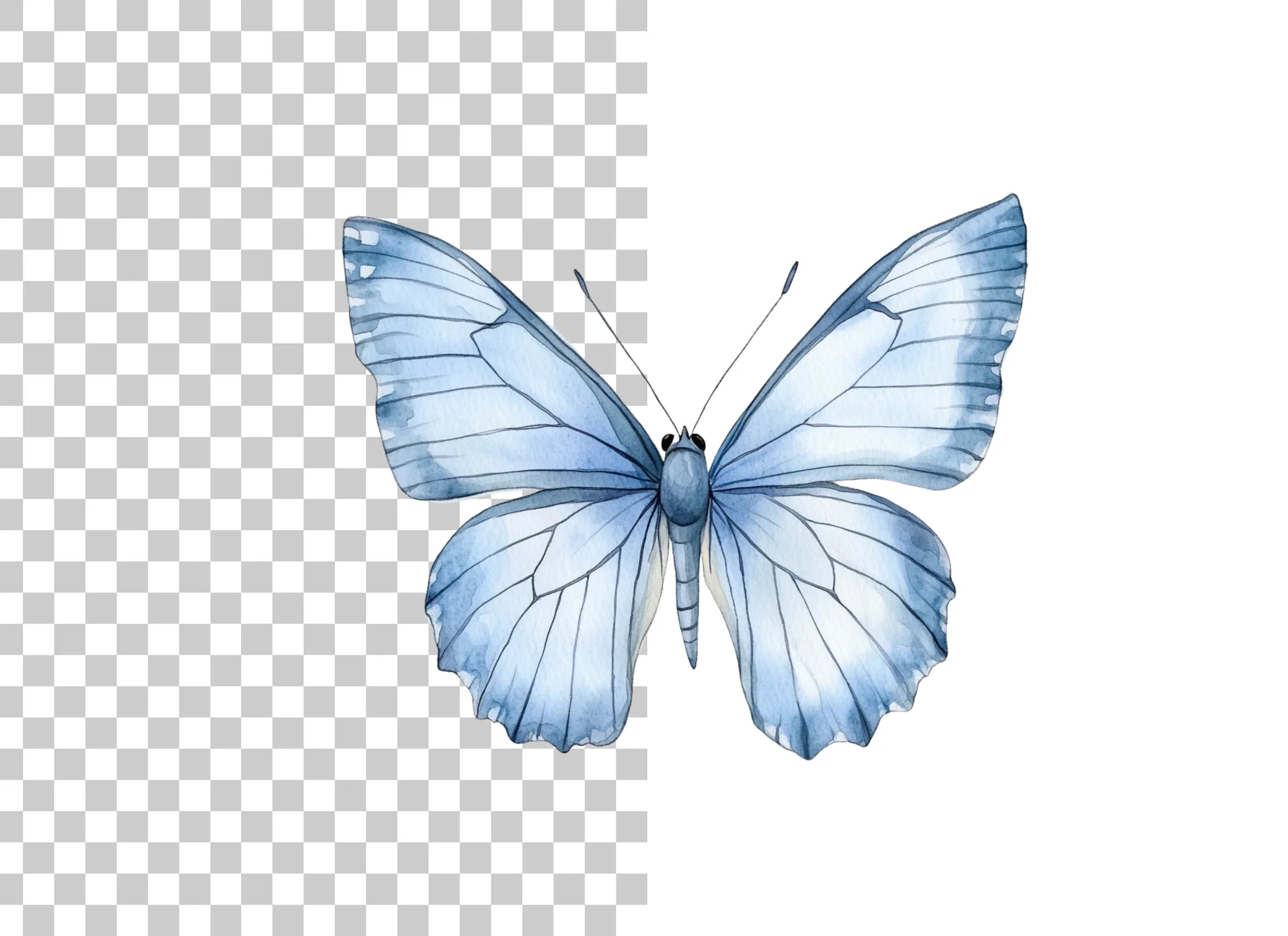 Light Blue Butterfly Clipart Bundle
