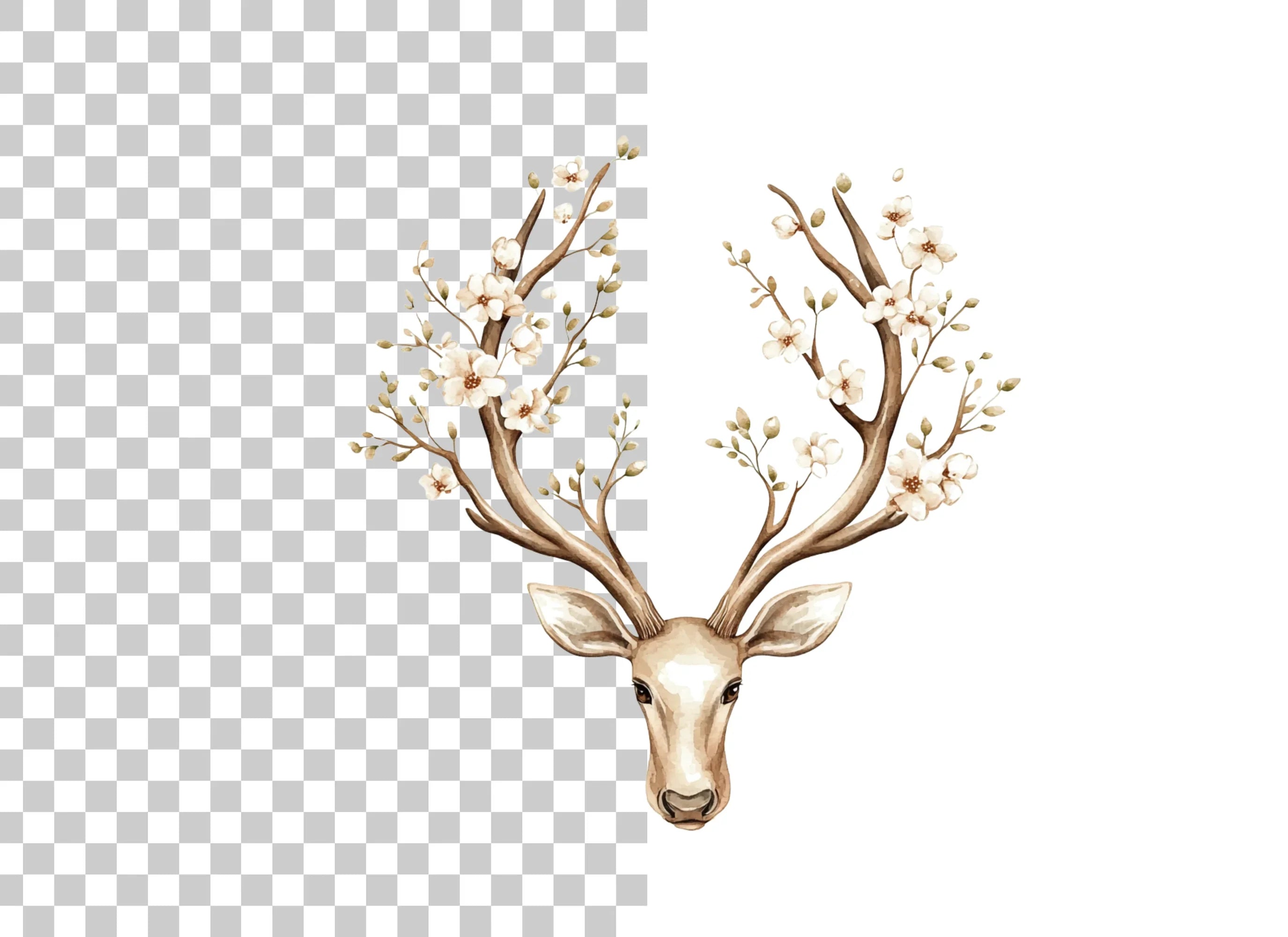 Deer Antlers with Flowers Clipart Bundle