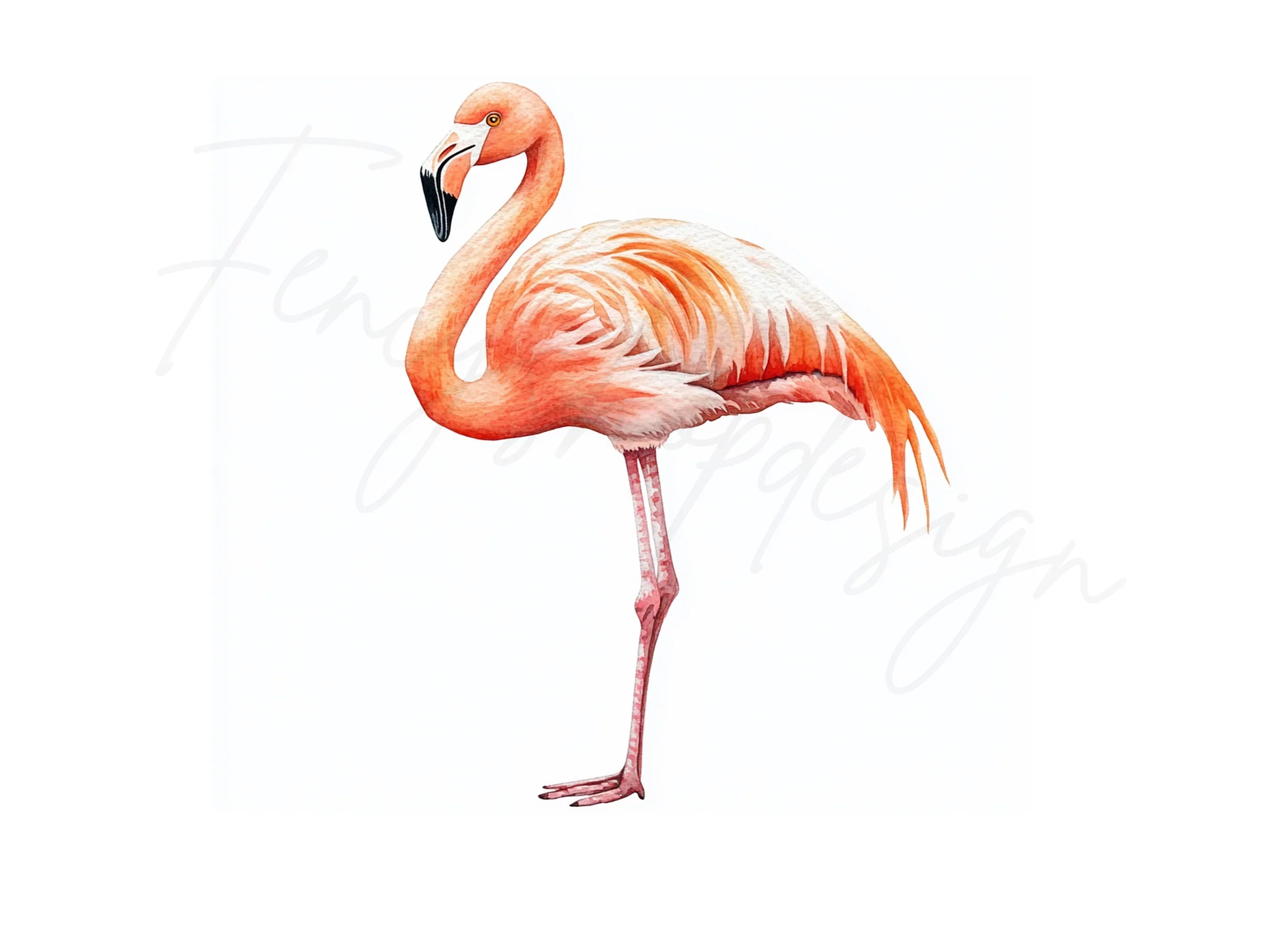 Graceful Pink Flamingo Clipart Bundle