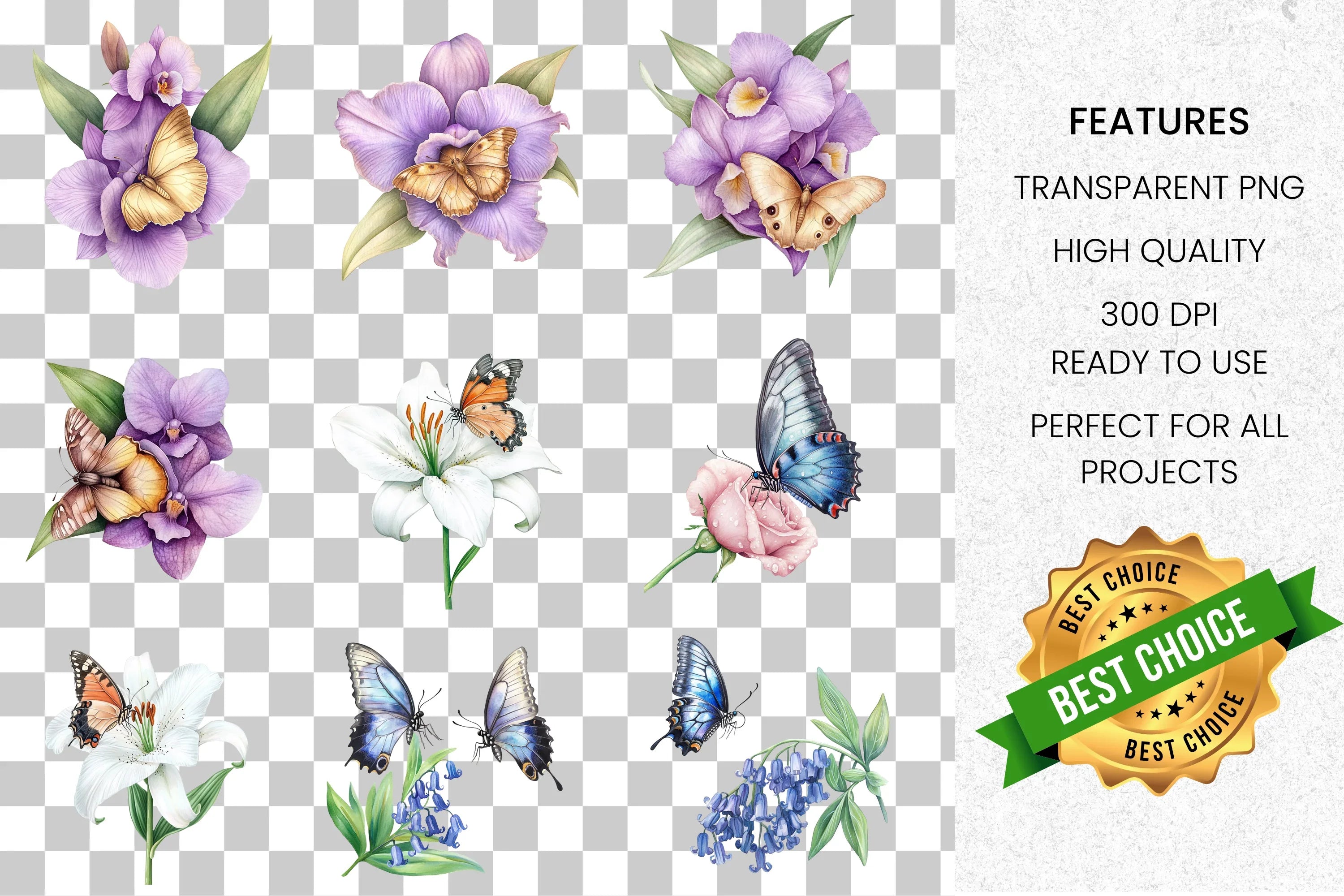 Butterfly Floral Clipart Bundle