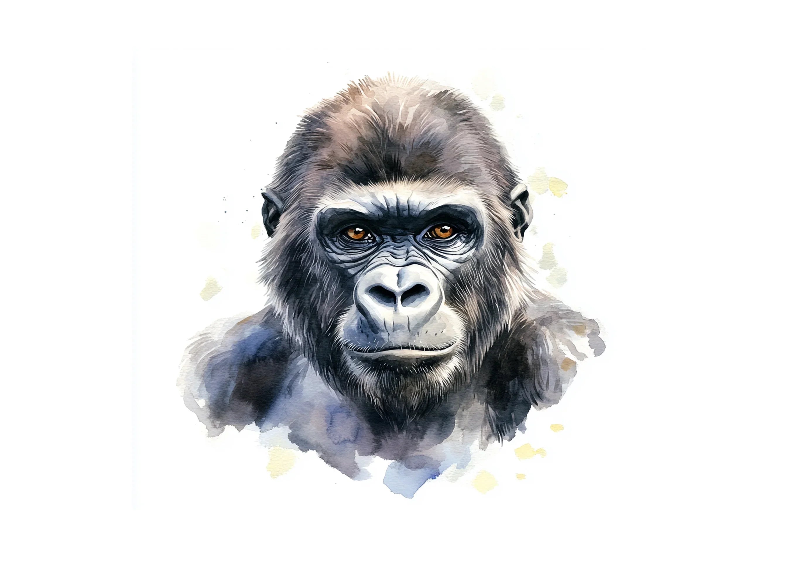 Animals Clipart