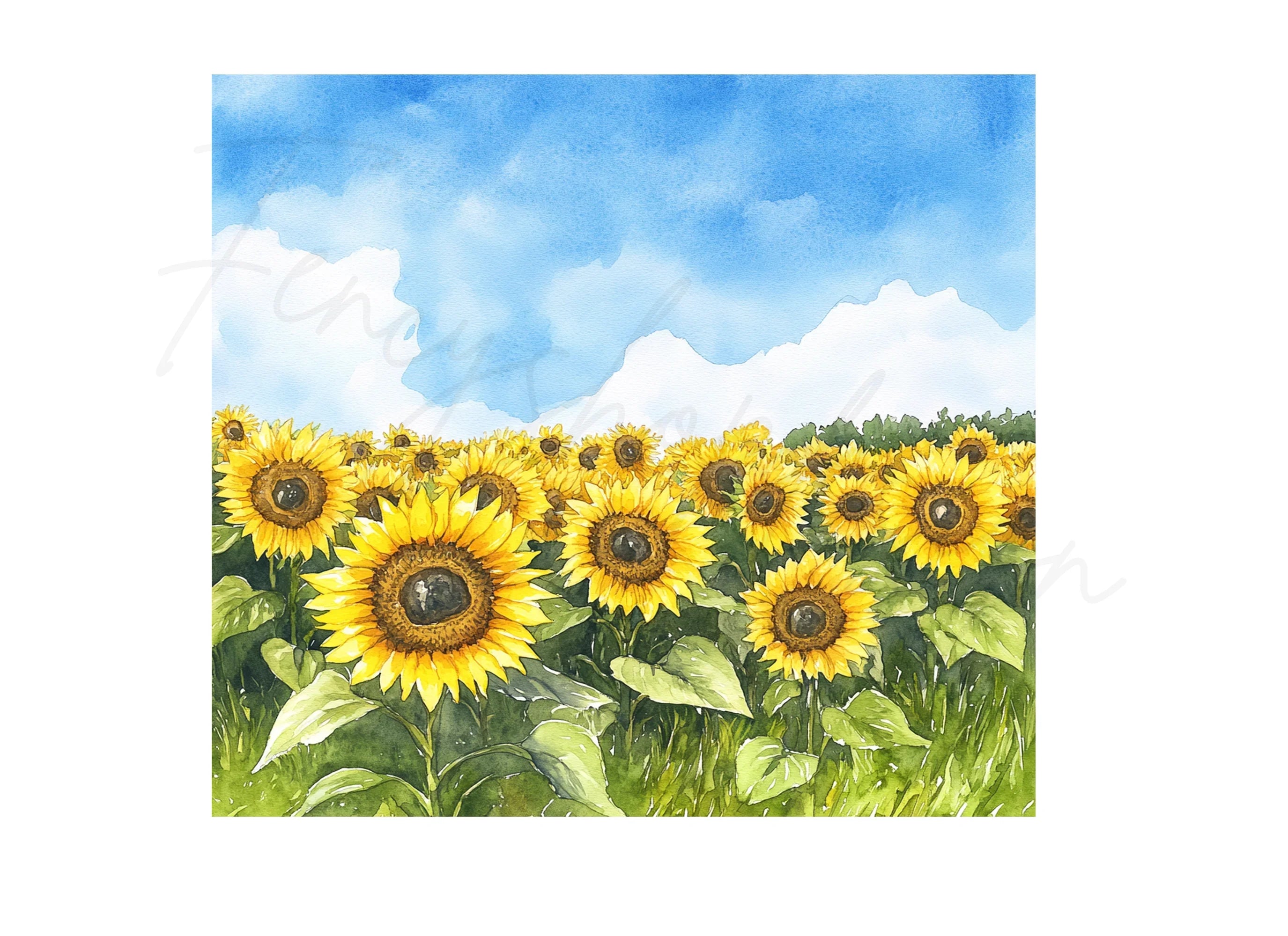 Sunflower Field Clipart Bundle