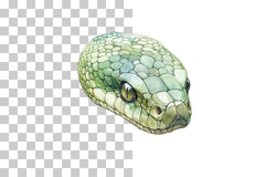 Snake Head Reptile Close-Up Clipart Bundle - CraftNest - Digital Crafting and Art