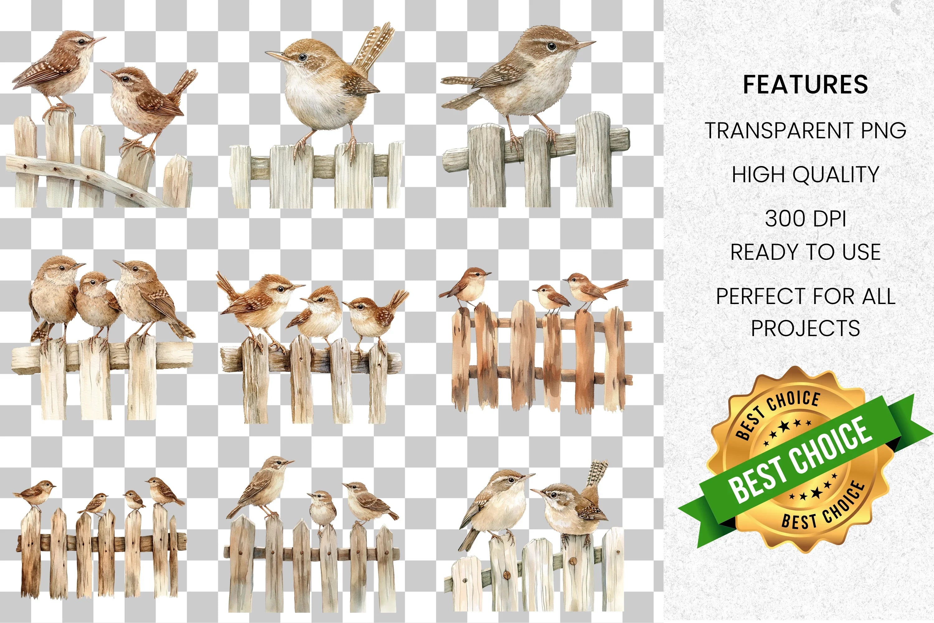 Cute Sparrows on Wooden Fence Clipart Bundle