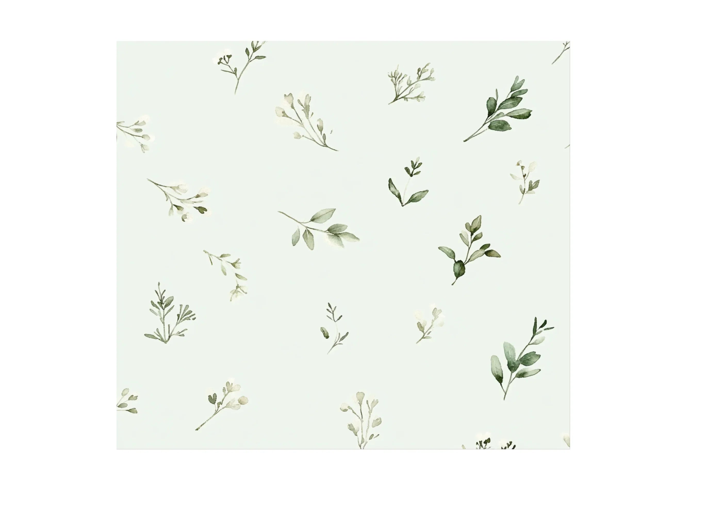 Eucalyptus Leaves Clipart Bundle