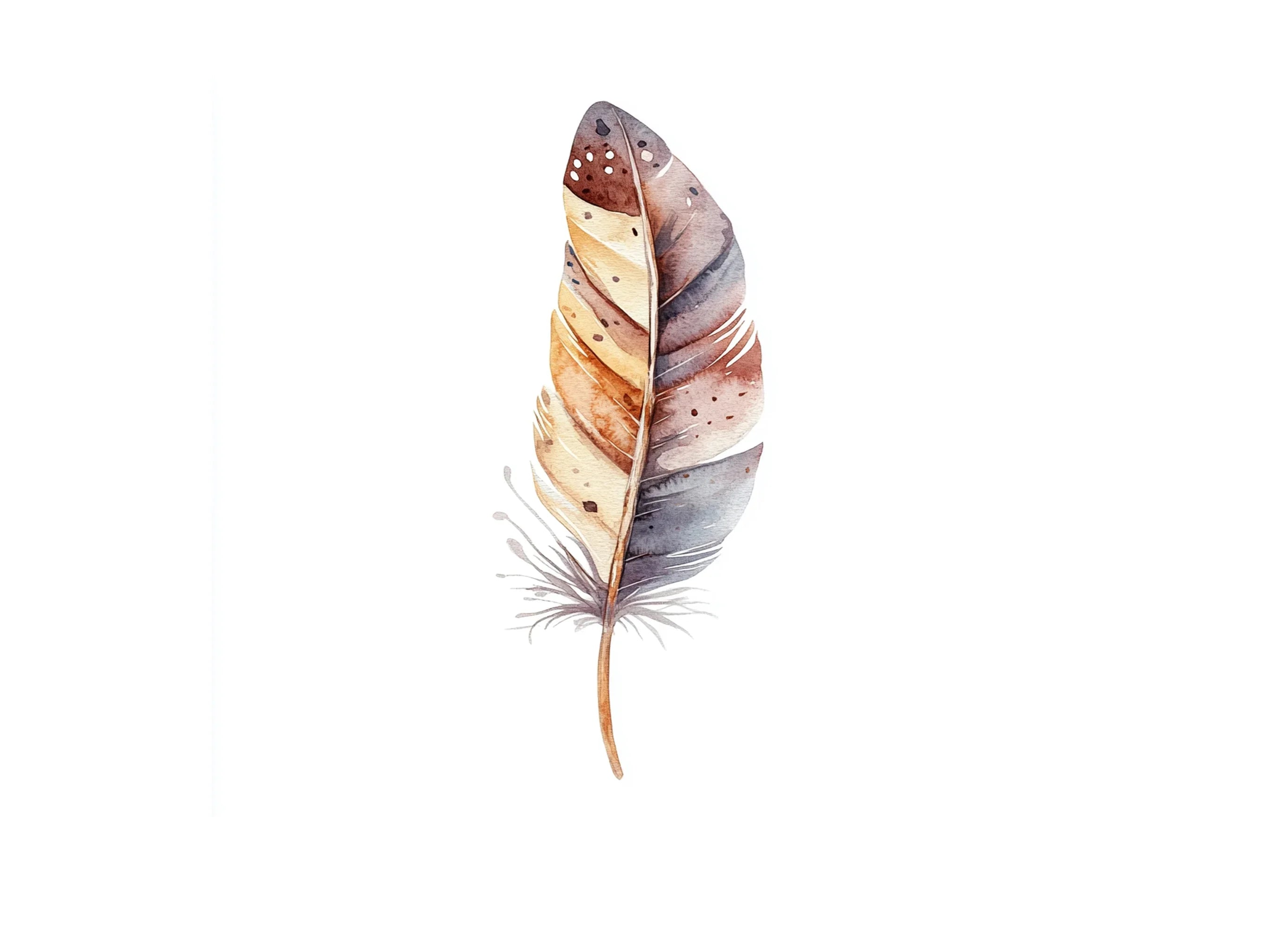 Earthy Toned Feather Clipart Bundle