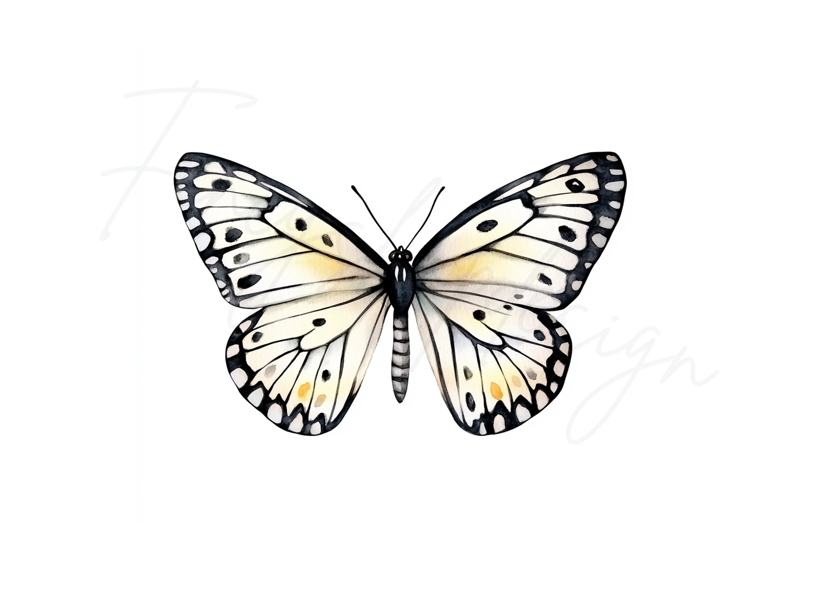 Monochromatic Butterfly Clipart Bundle