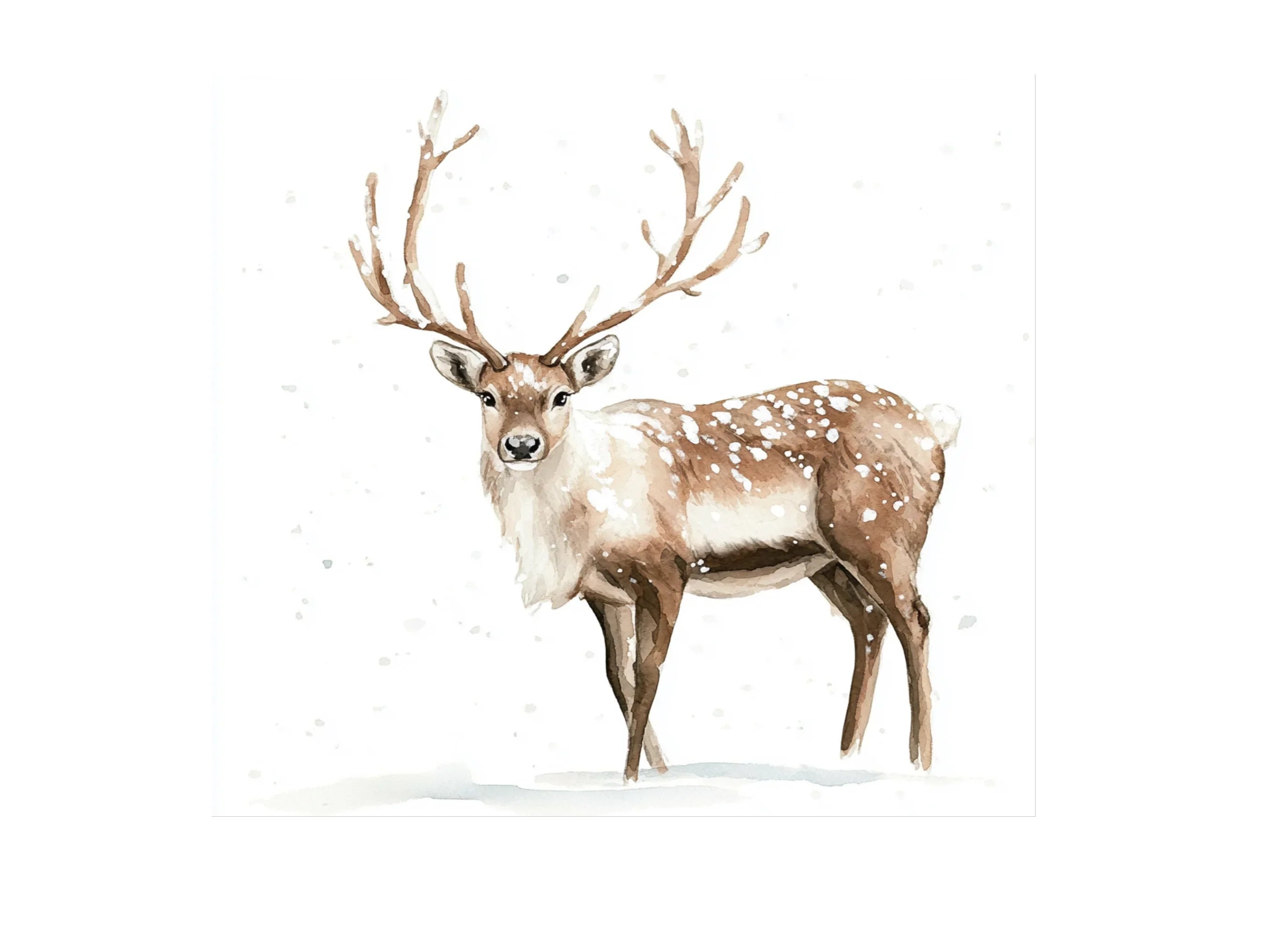 Deer Clipart Bundle