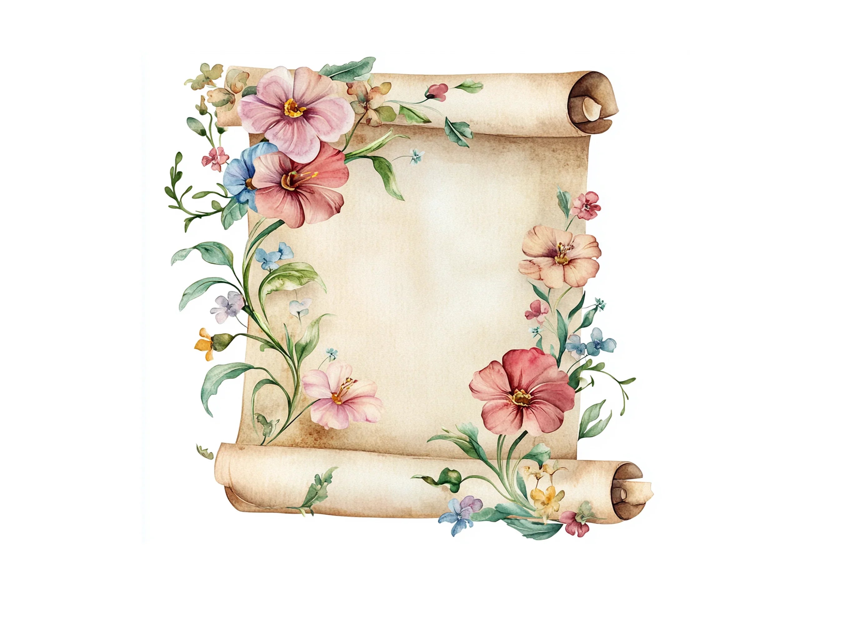 Floral Scroll Clipart Bundle
