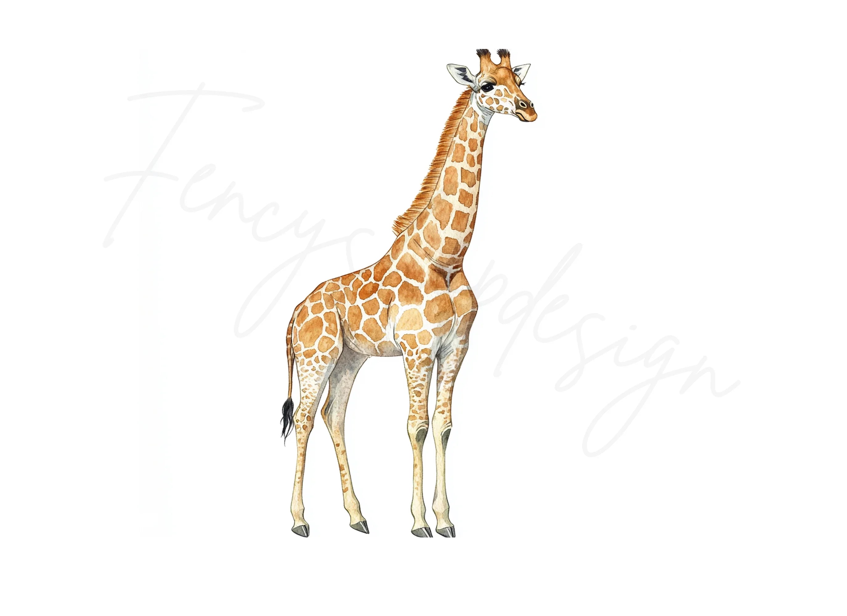 Giraffe Clipart Bundle