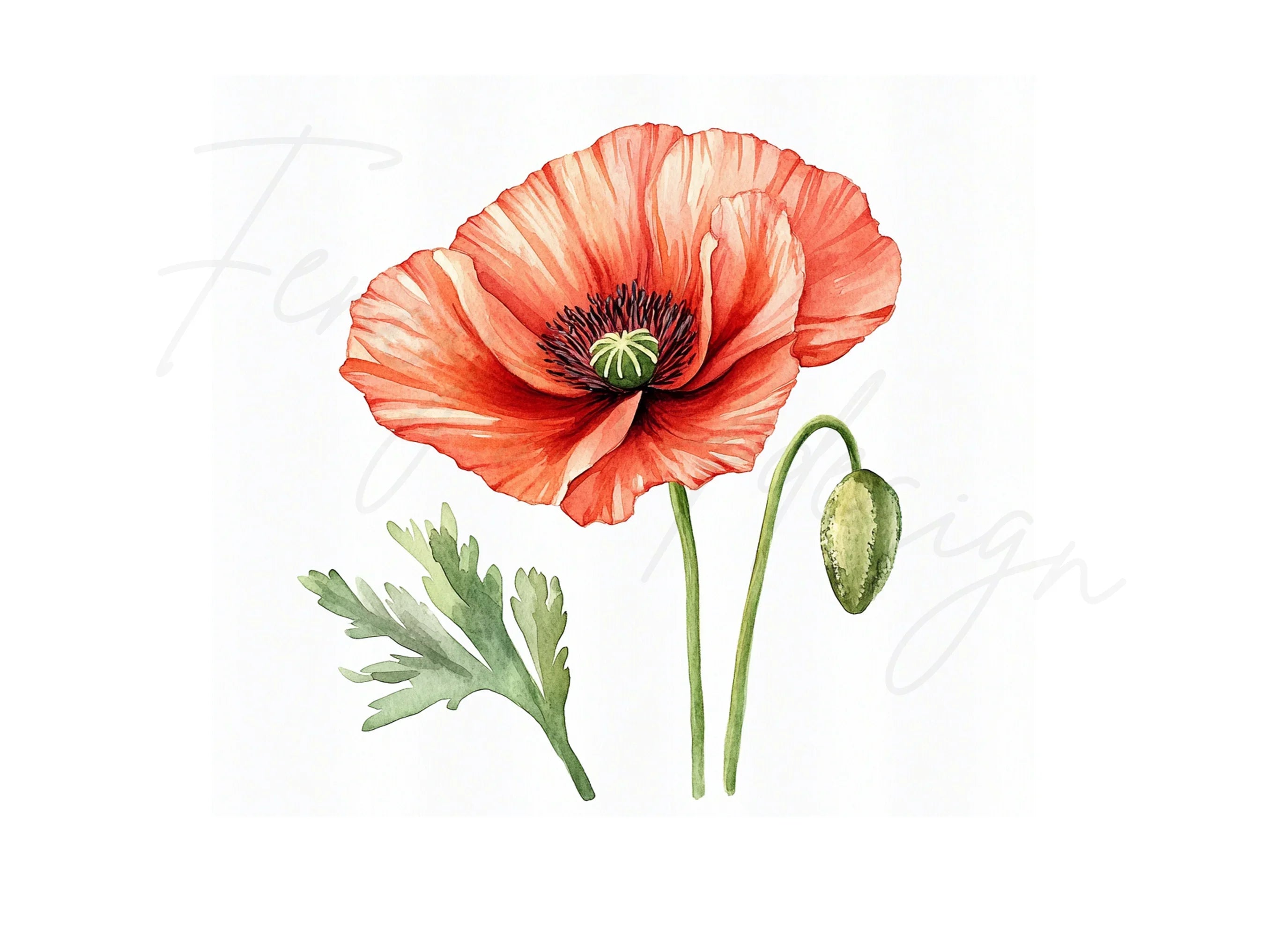 Vibrant Red Poppy Clipart Bundle