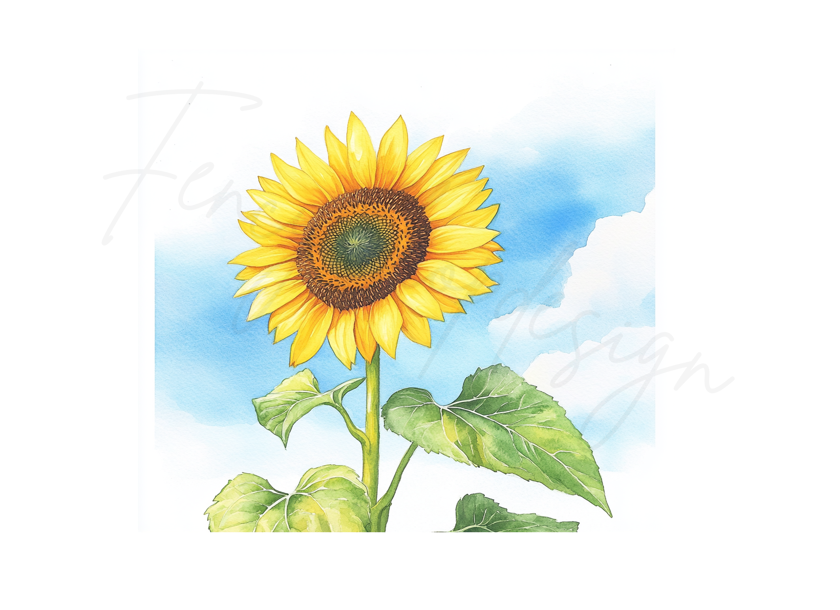 Bright Sunflower Illustrations Clipart Bundle