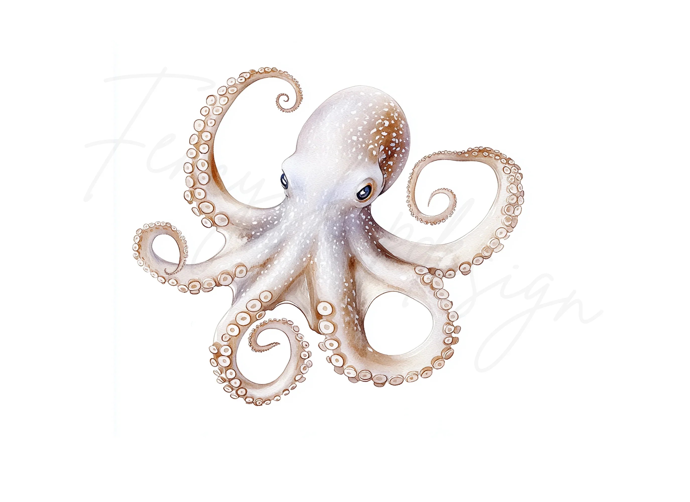 Octopus Clipart Bundle