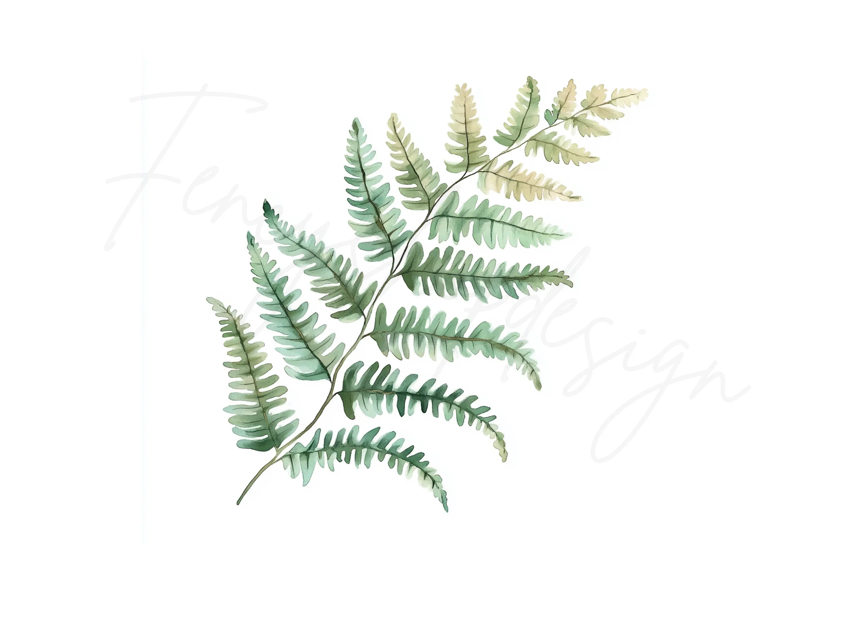 Fern Leaves Clipart Bundle