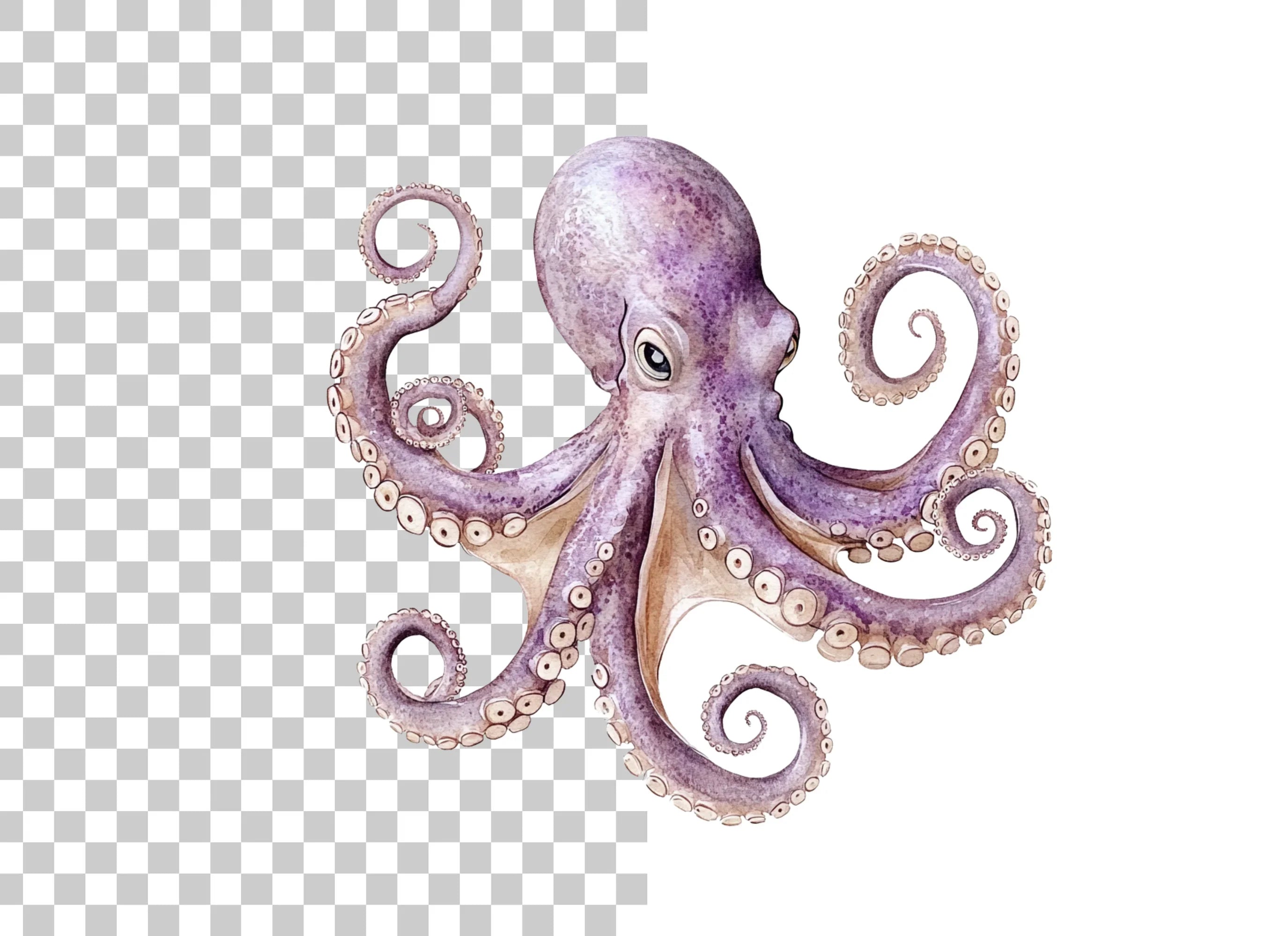 Purple Octopus Illustrations Clipart Bundle