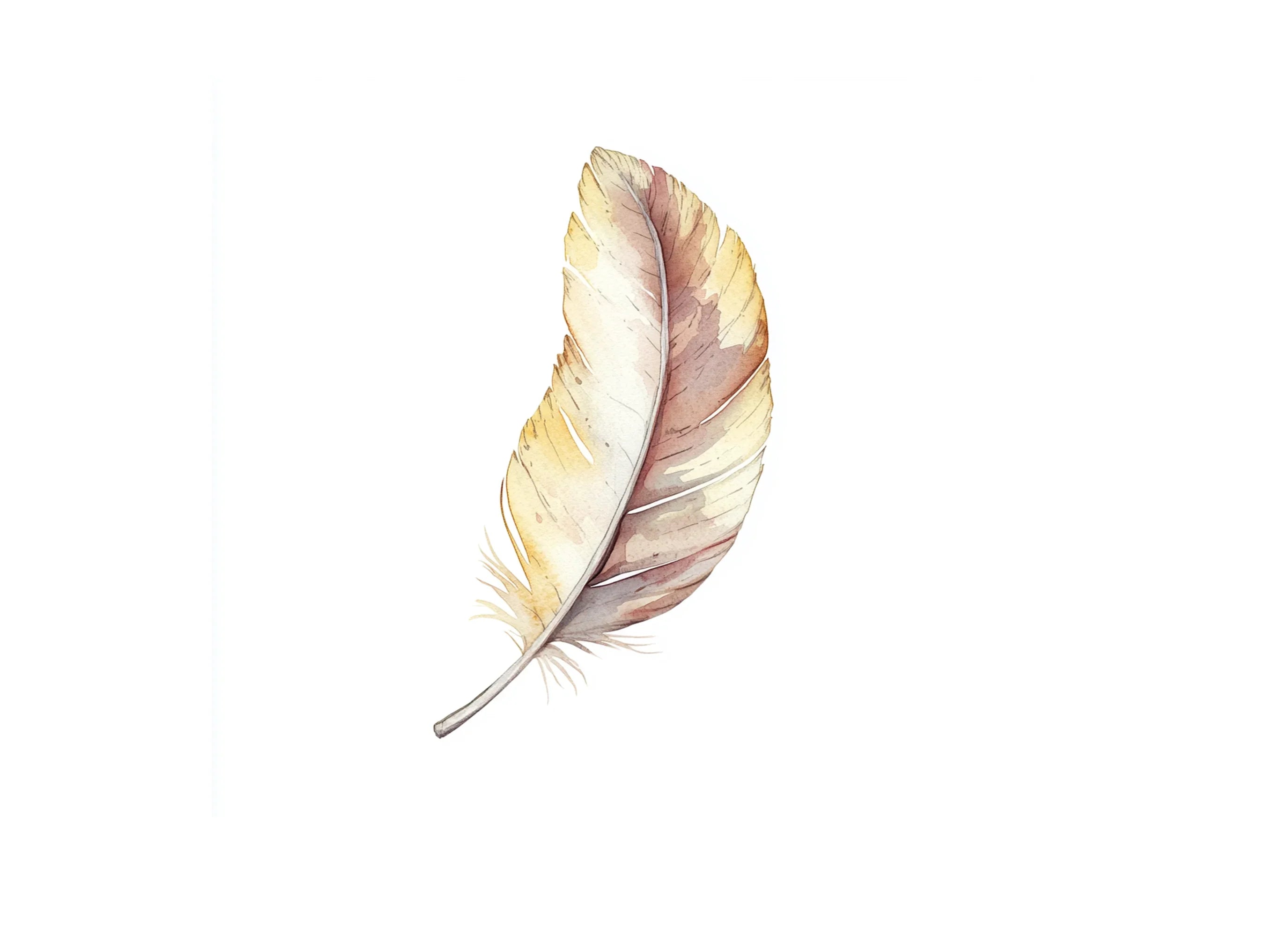 Boho Feather Clipart Bundle