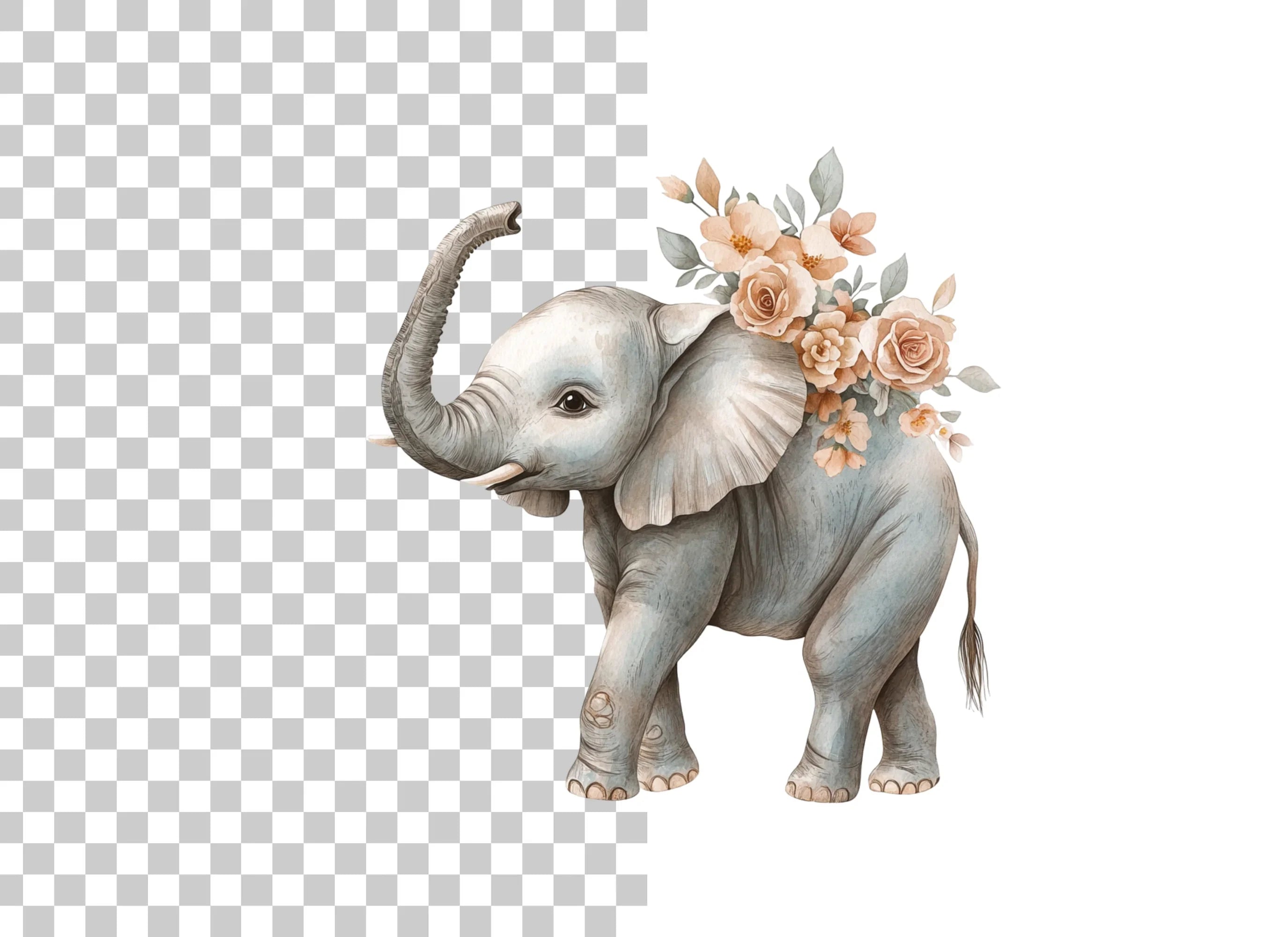 Floral Elephant Clipart Bundle
