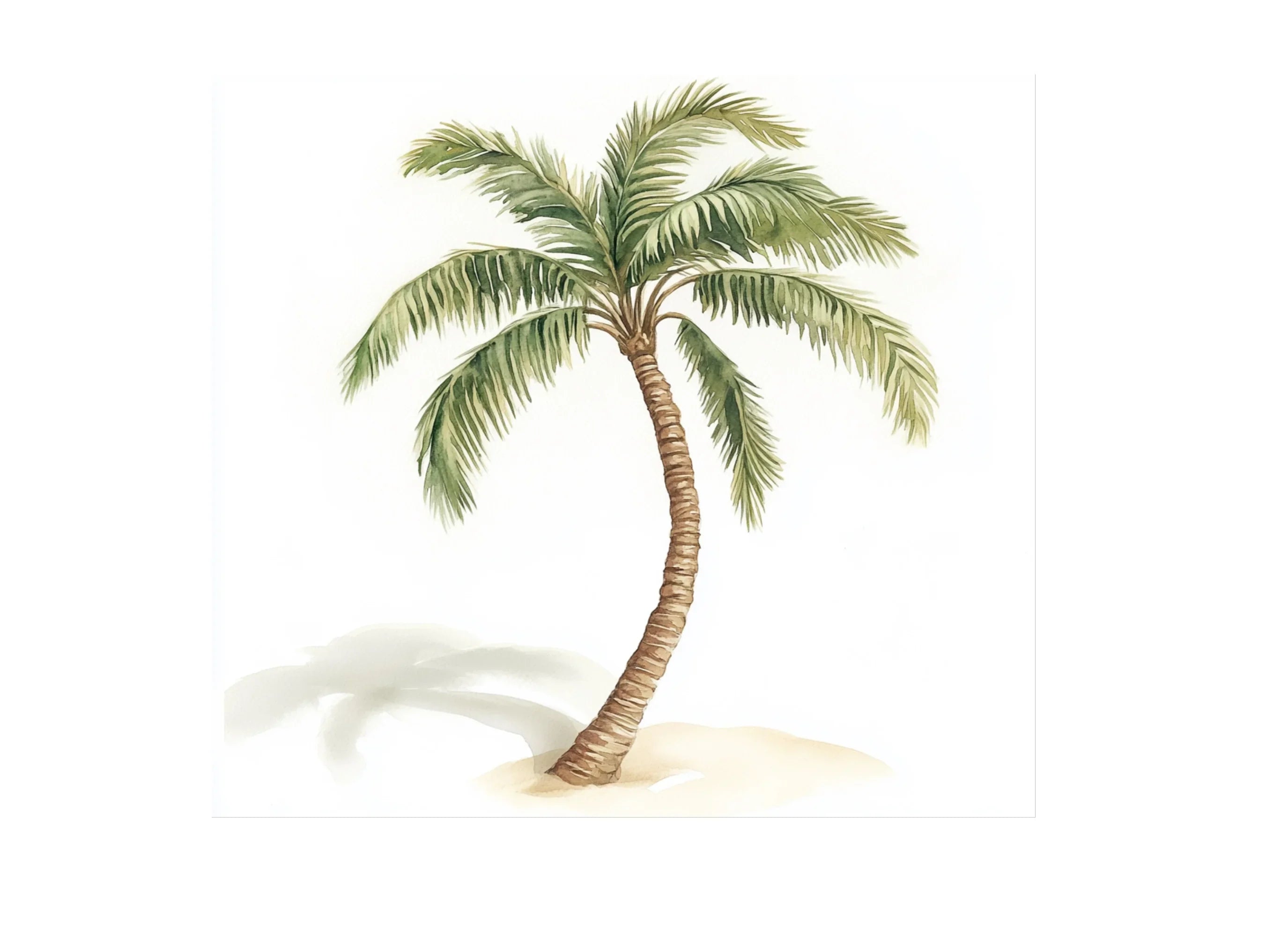 Palm Tree Clipart Bundle