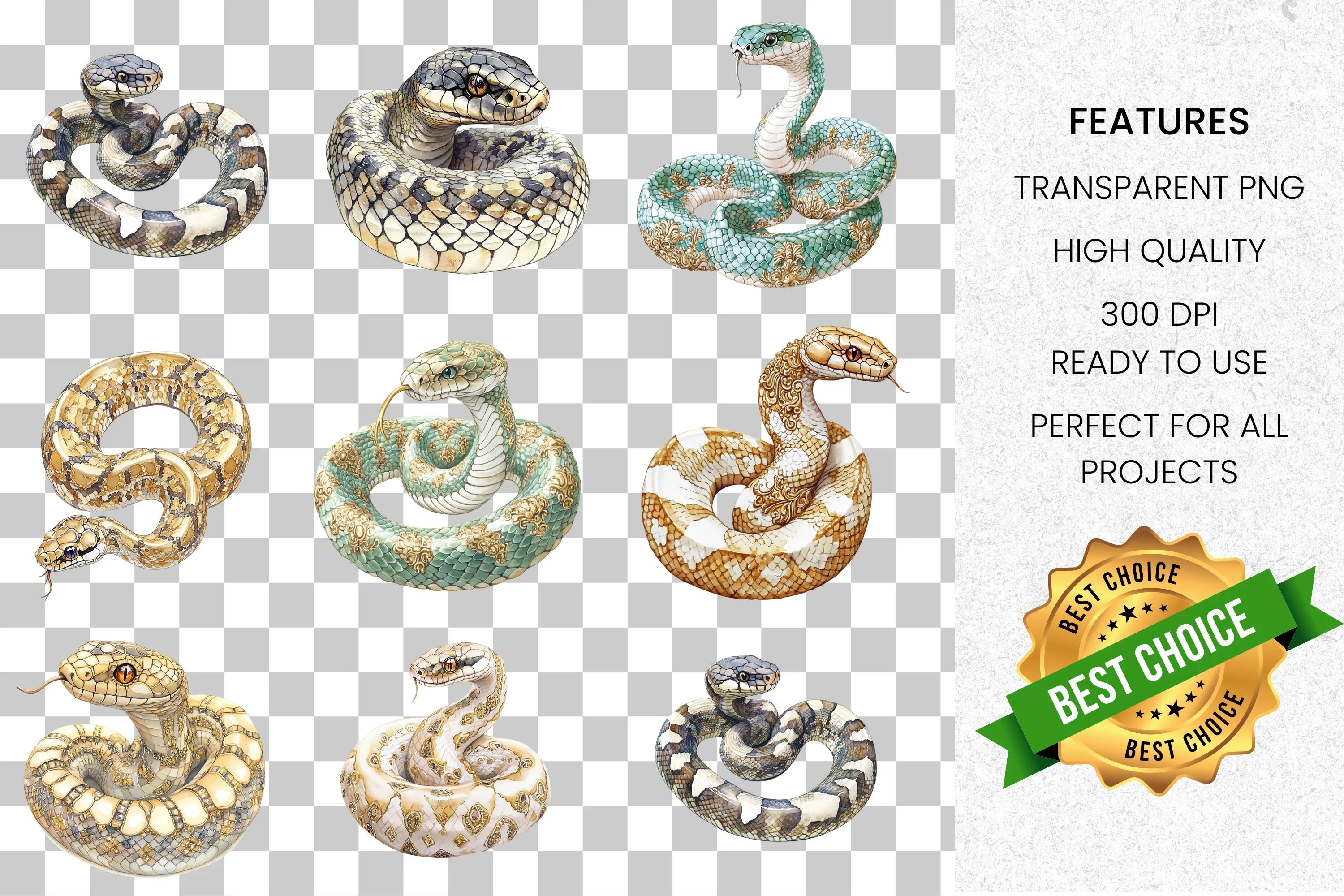 Rattlesnake Clipart Bundle