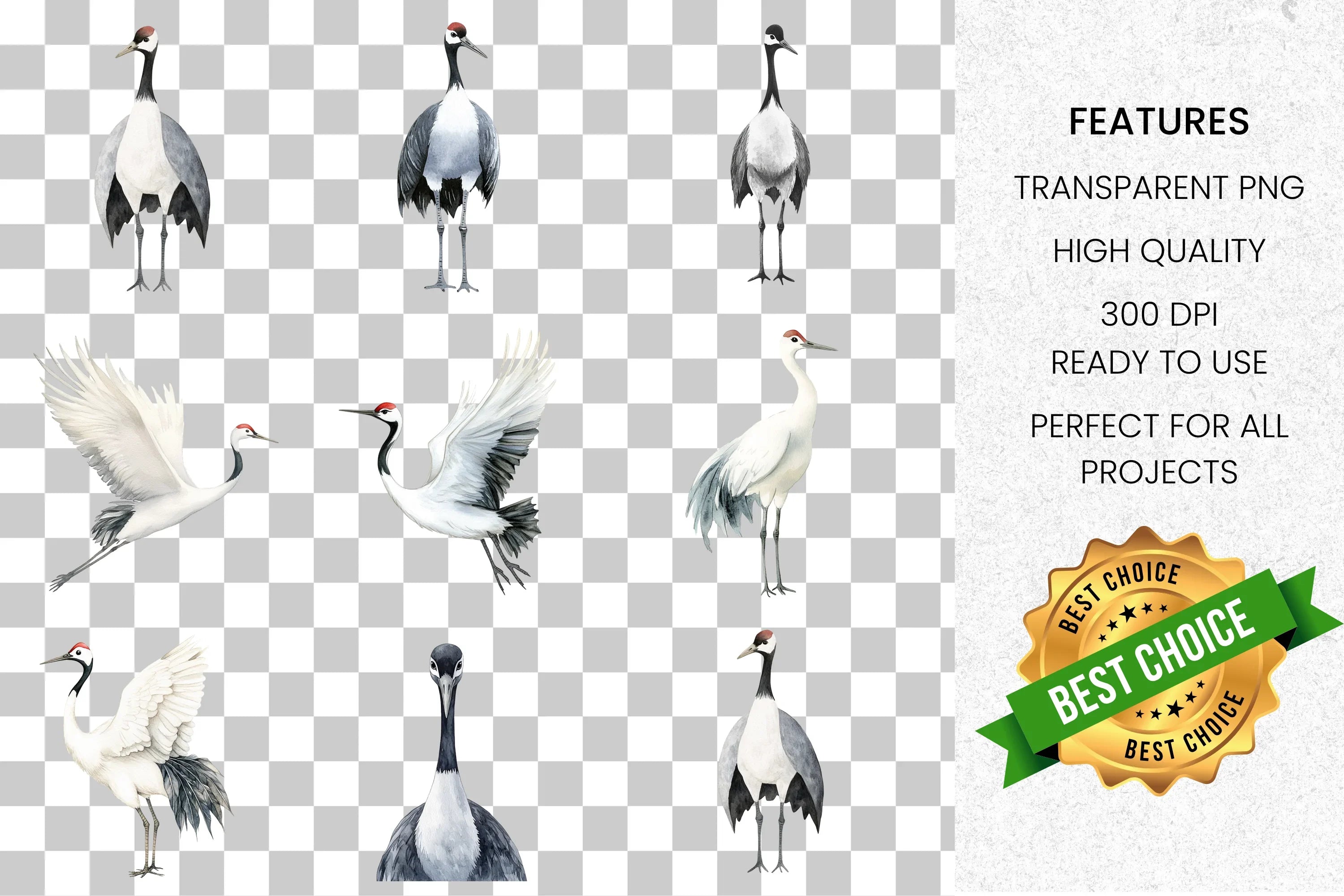 Elegant Crane Bird Clipart Bundle