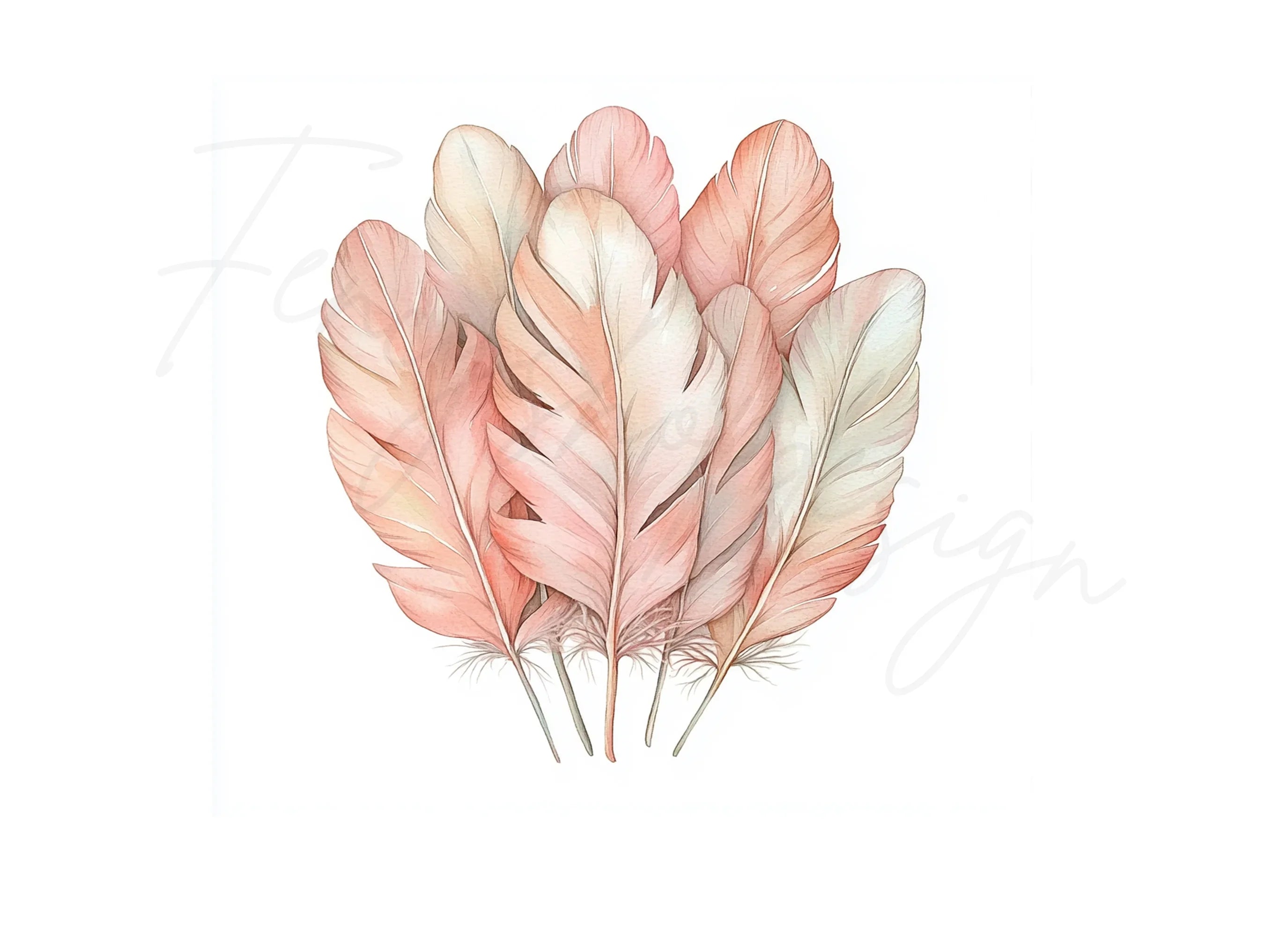 Boho Chic Feather Clipart Bundle