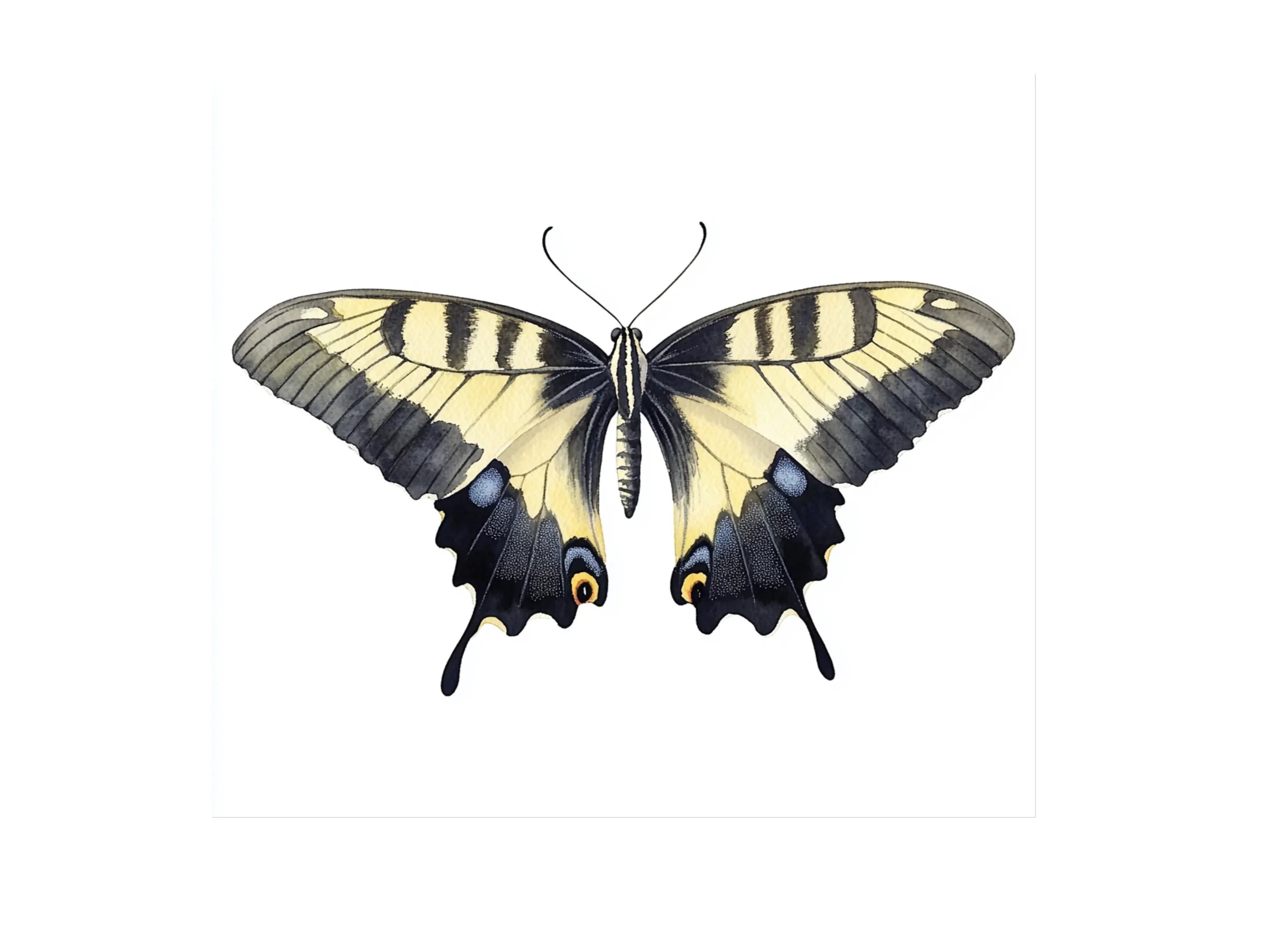 Swallowtail Butterfly Clipart Bundle