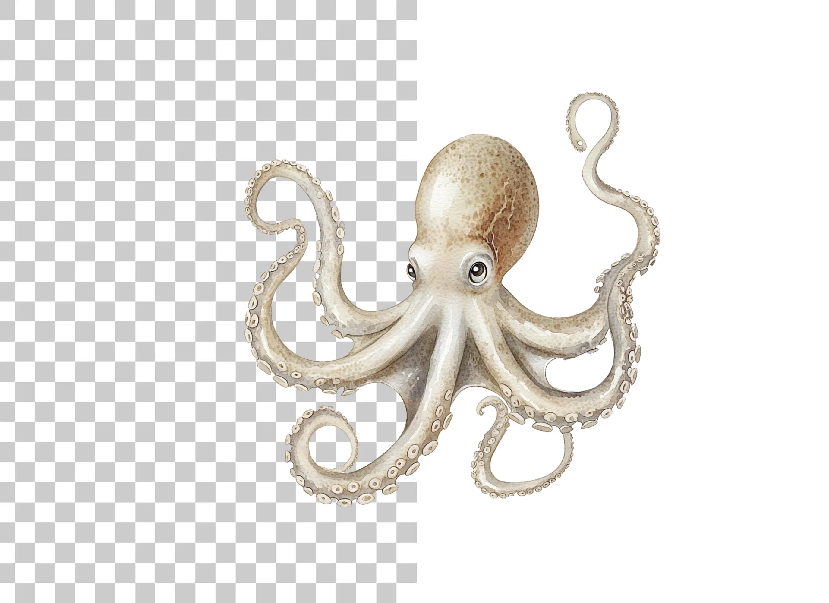 Realistic Octopus Duo Clipart Bundle