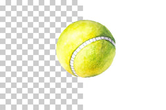 Tennis Ball Sports Illustration Clipart Bundle - CraftNest - Digital Crafting and Art