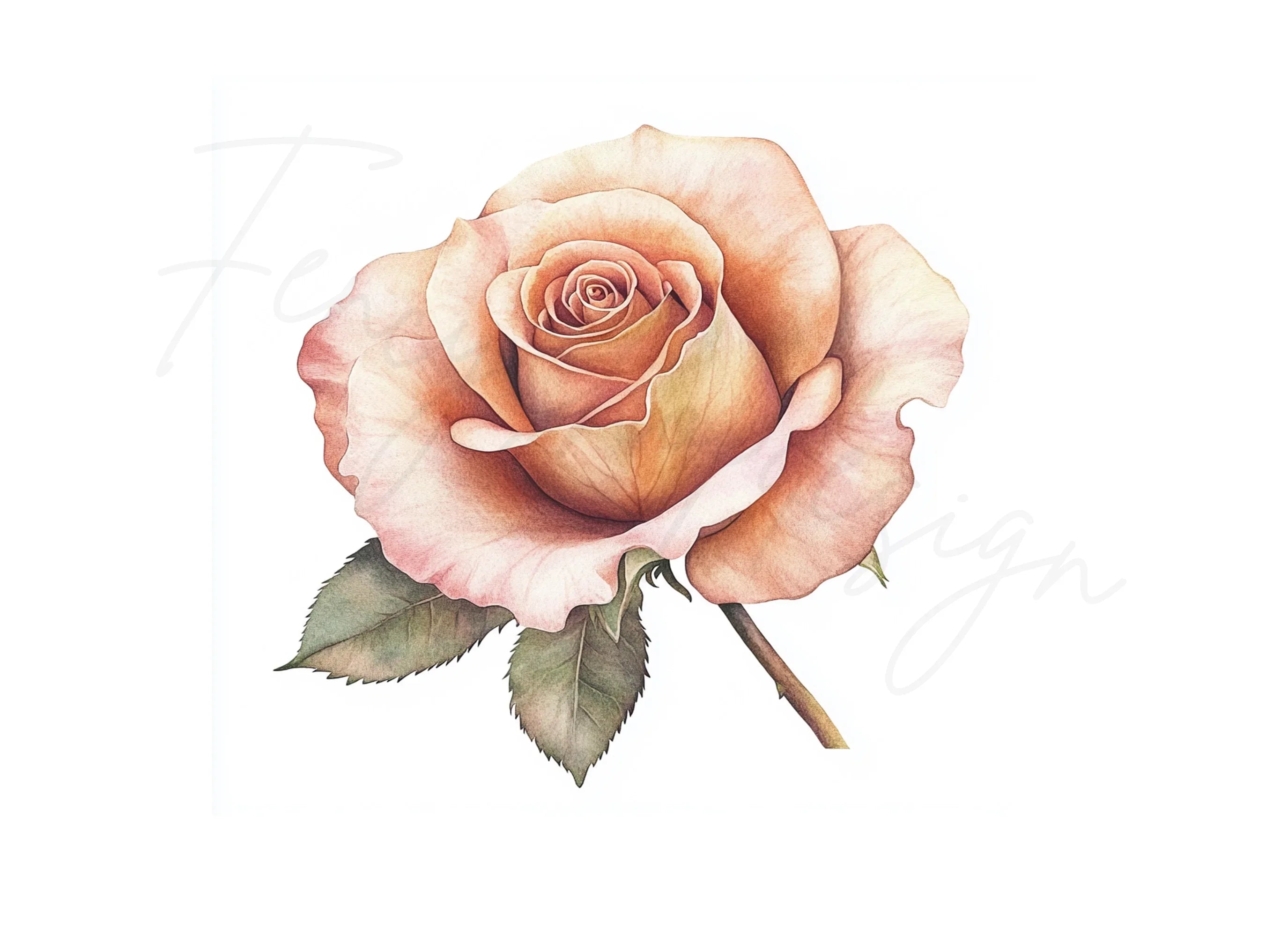 Elegant Rose Clipart Bundle