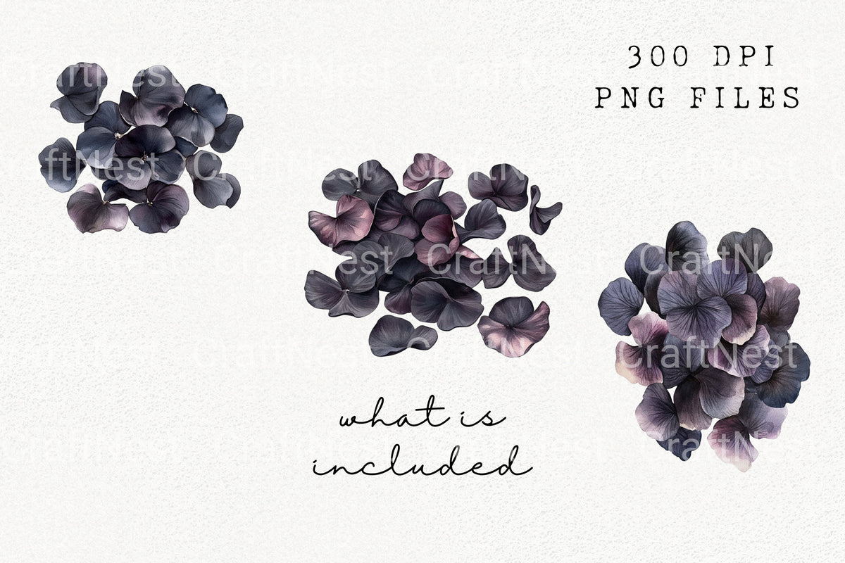 Dark Purple Hydrangea Petals Clipart Bundle