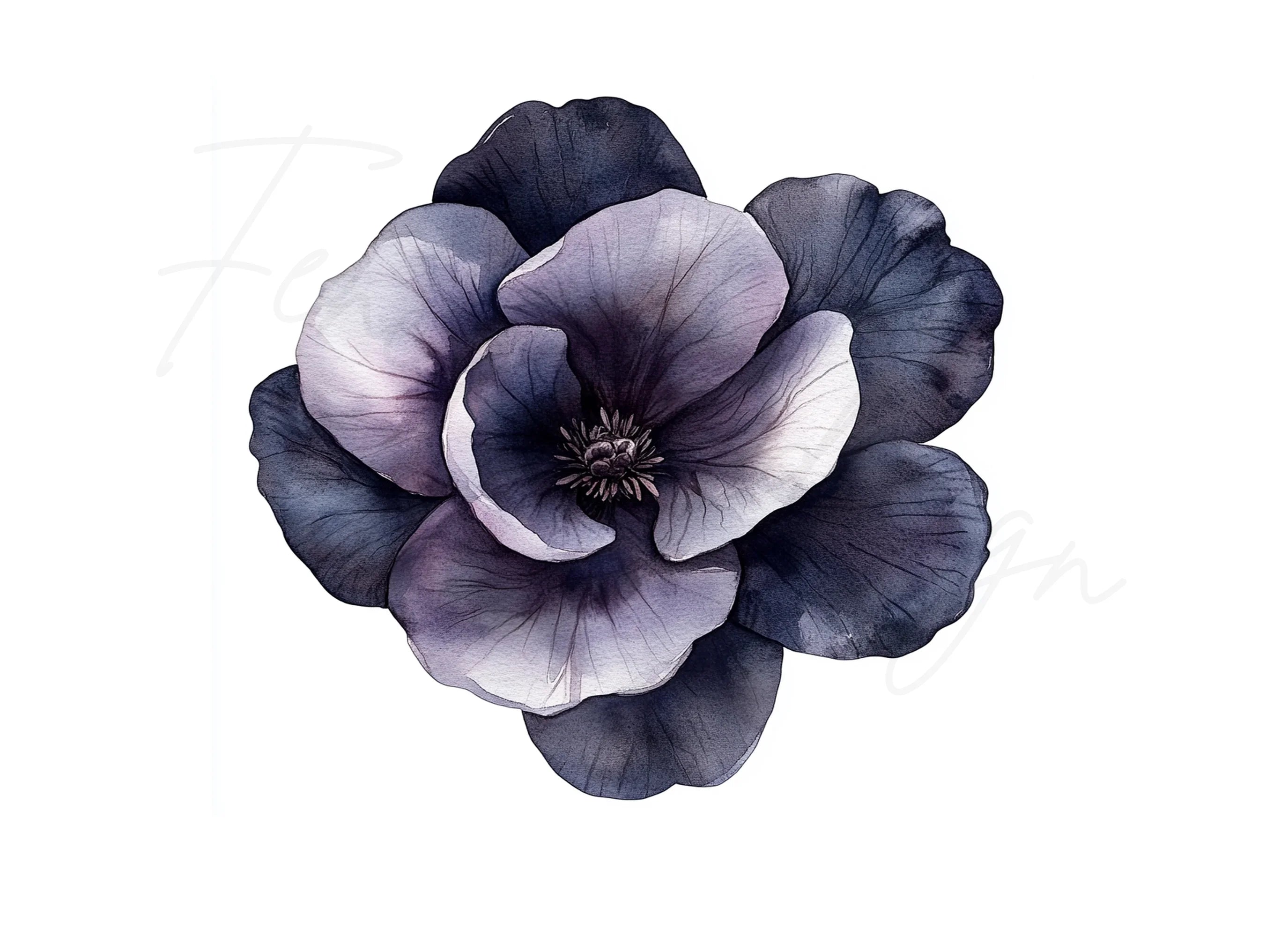 Dark Moody Flower Clipart Bundle