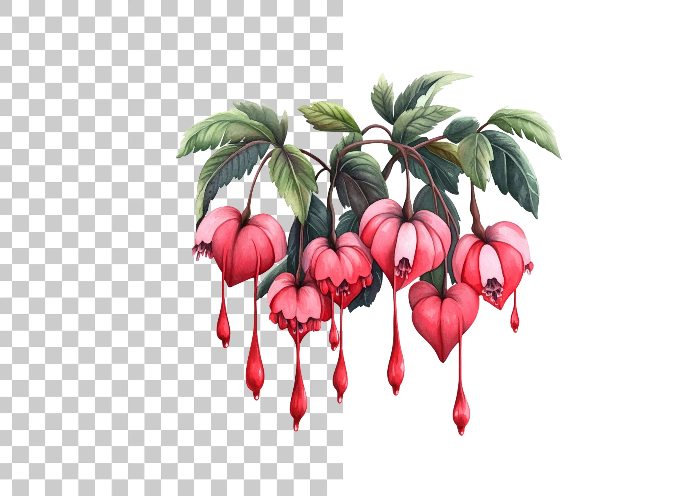 Fuchsia Flower Clipart Bundle