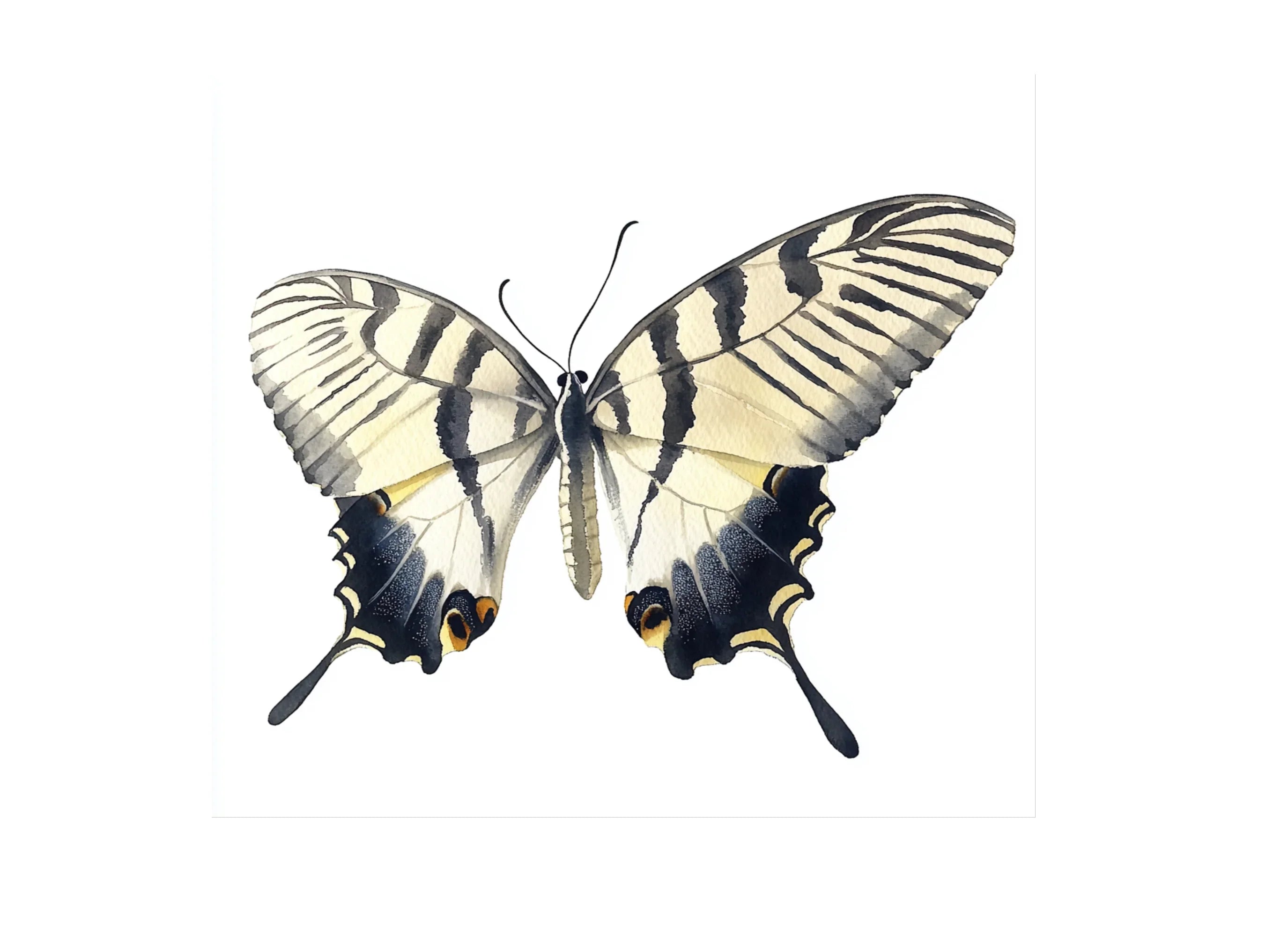 Elegant Swallowtail Butterfly Clipart Bundle