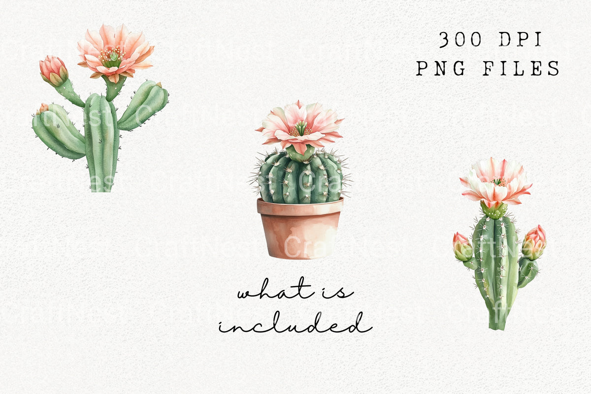 Blooming Cactus Illustration Clipart Bundle