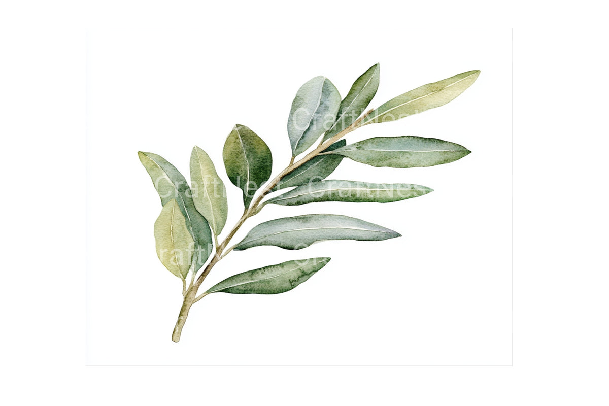 Olive Branches Green Artwork Clipart Bundle