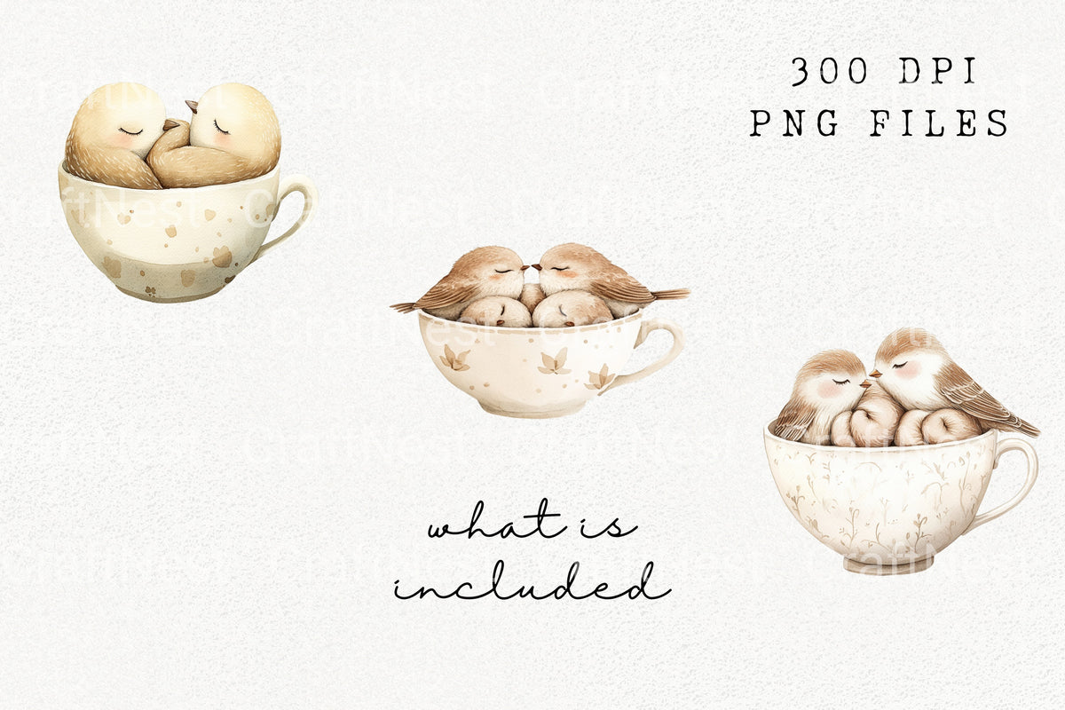 Cozy Birds In Teacup Clipart Bundle