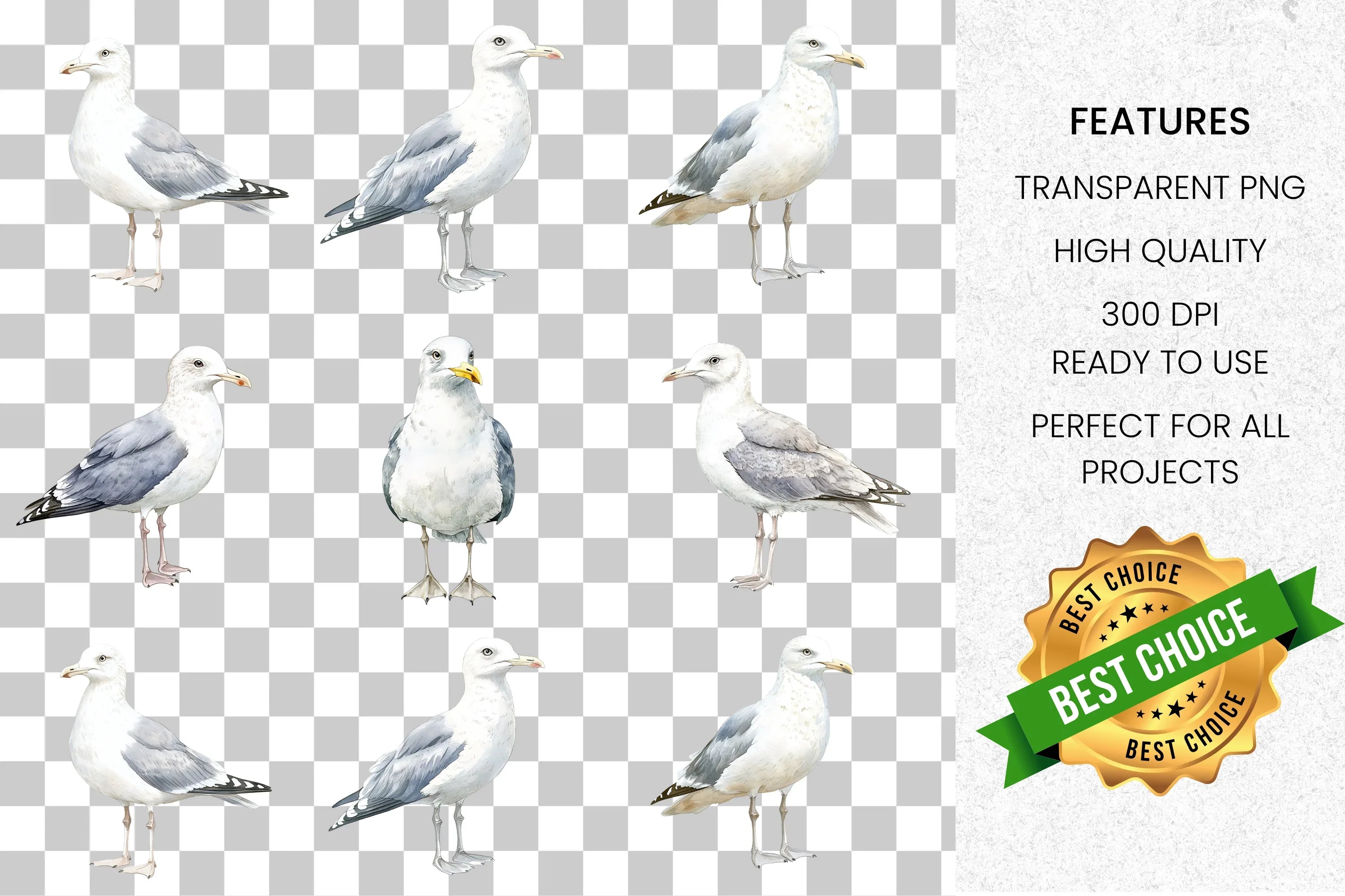 Seagull Clipart Bundle