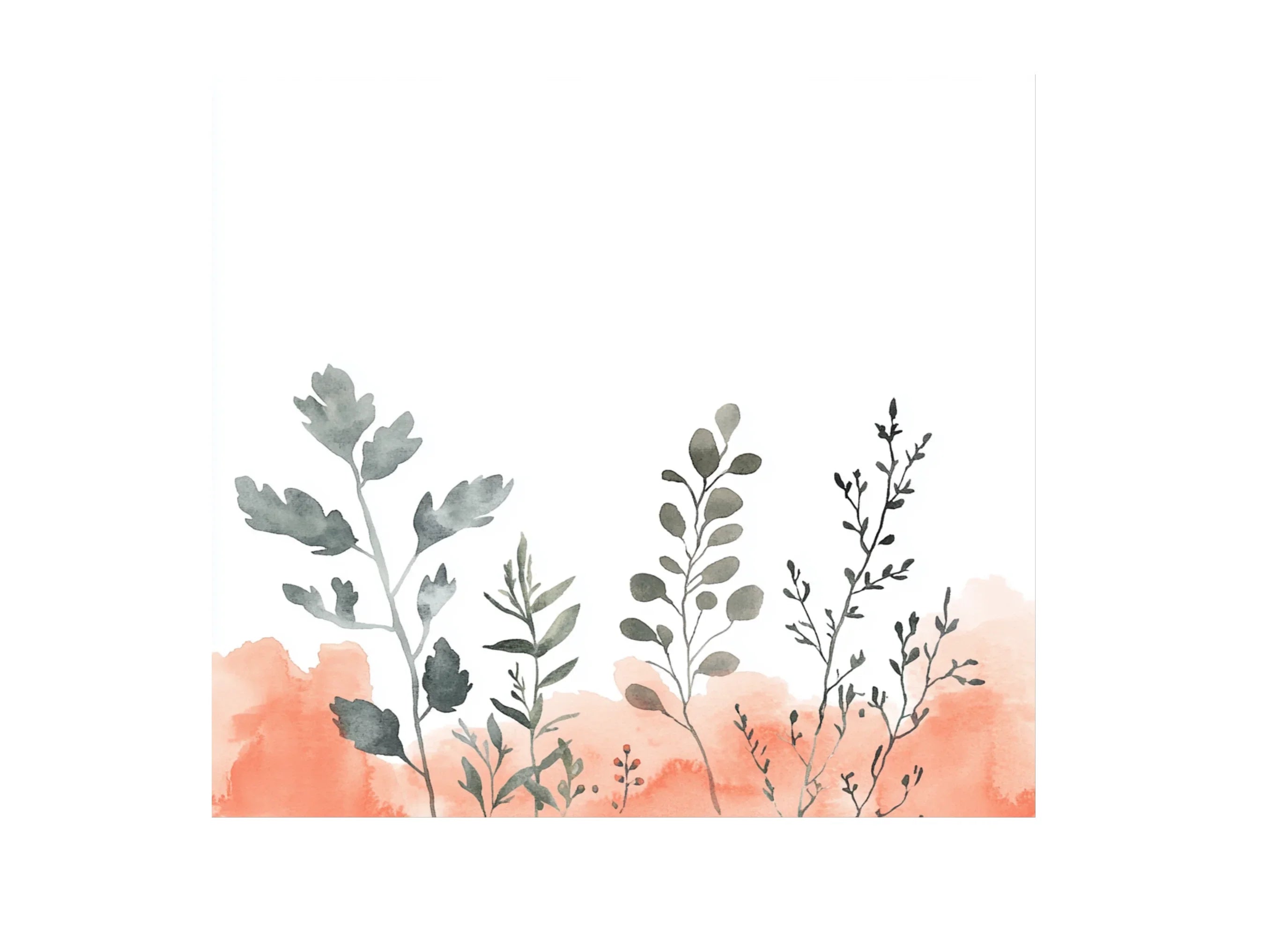 Wild Grasses Clipart Bundle