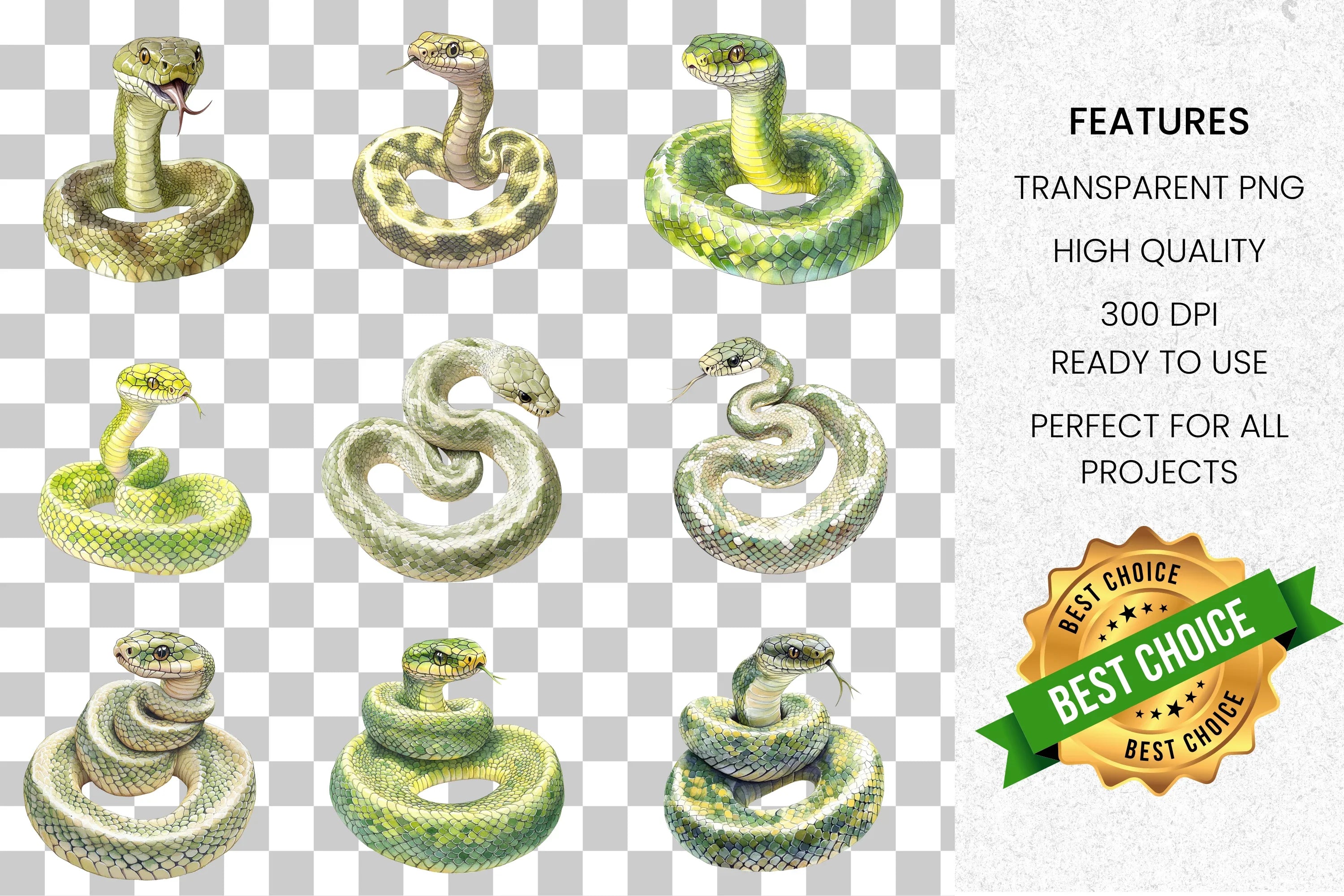 Diverse Snake Reptile Wildlife Clipart Bundle