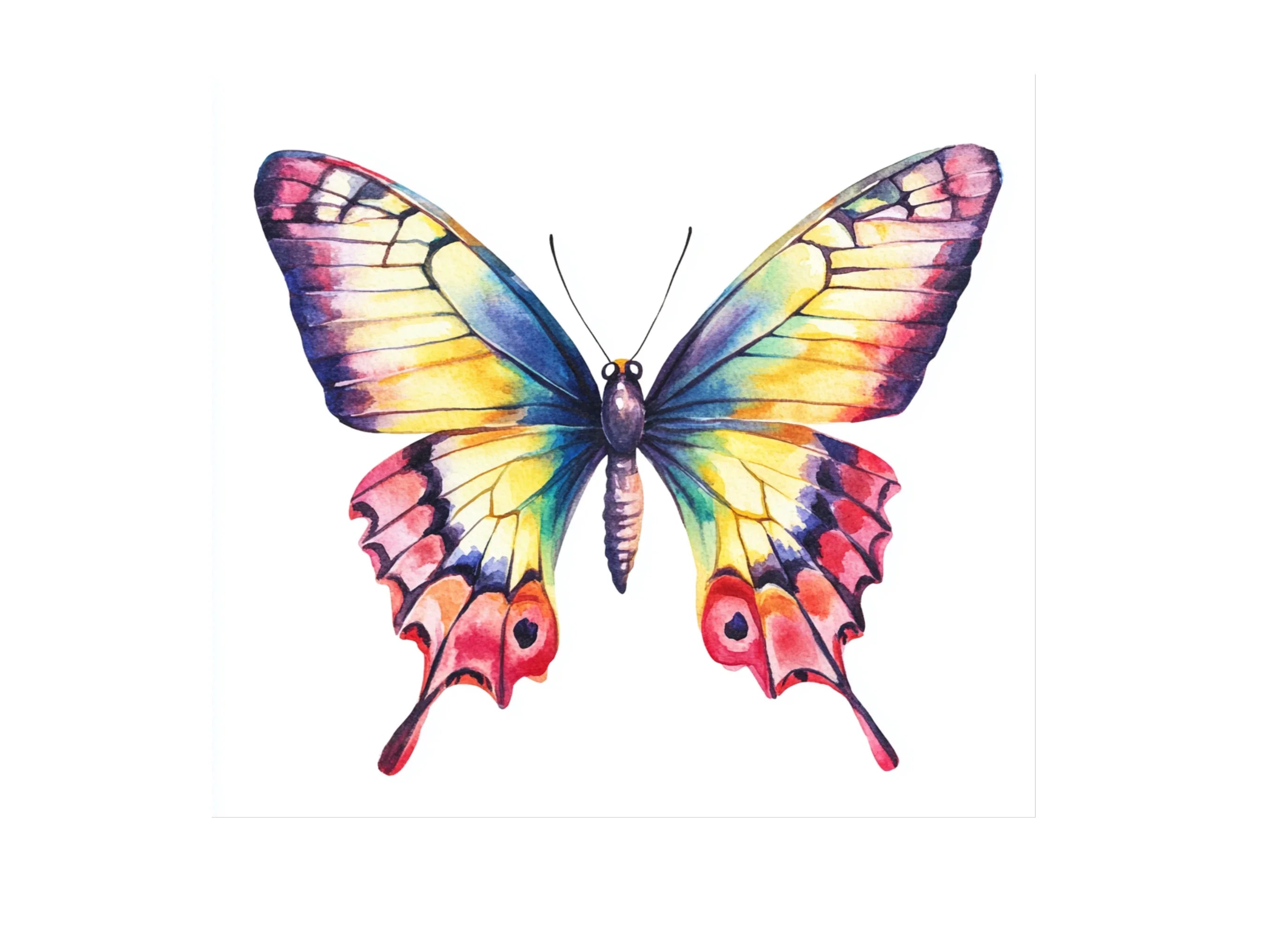 Vibrant Butterfly Clipart Bundle