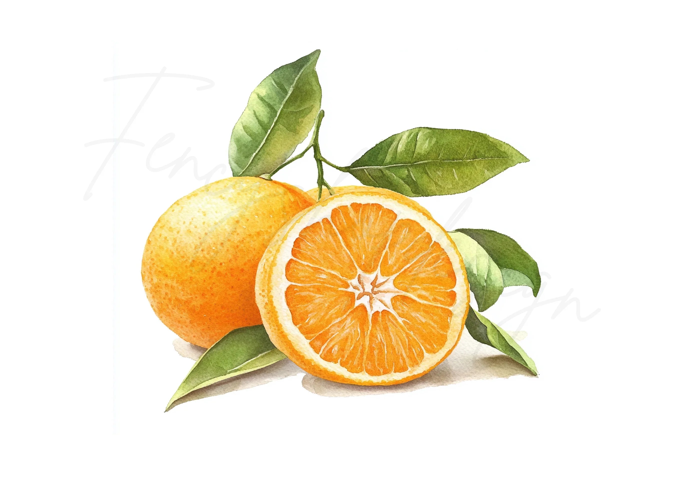 Whole and Sliced Oranges with Leaves Clipart Bundle