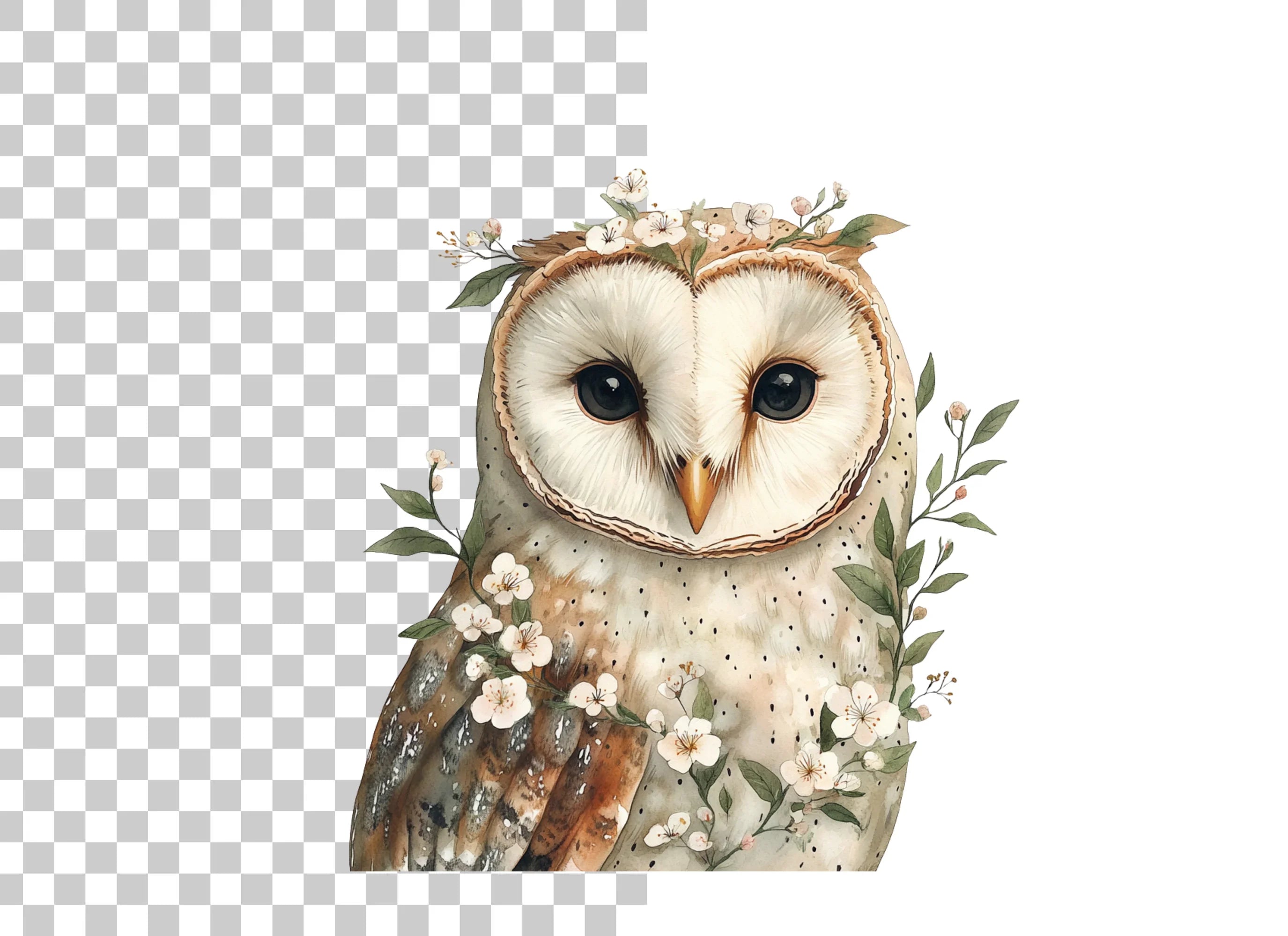 Floral Barn Owl Clipart Bundle