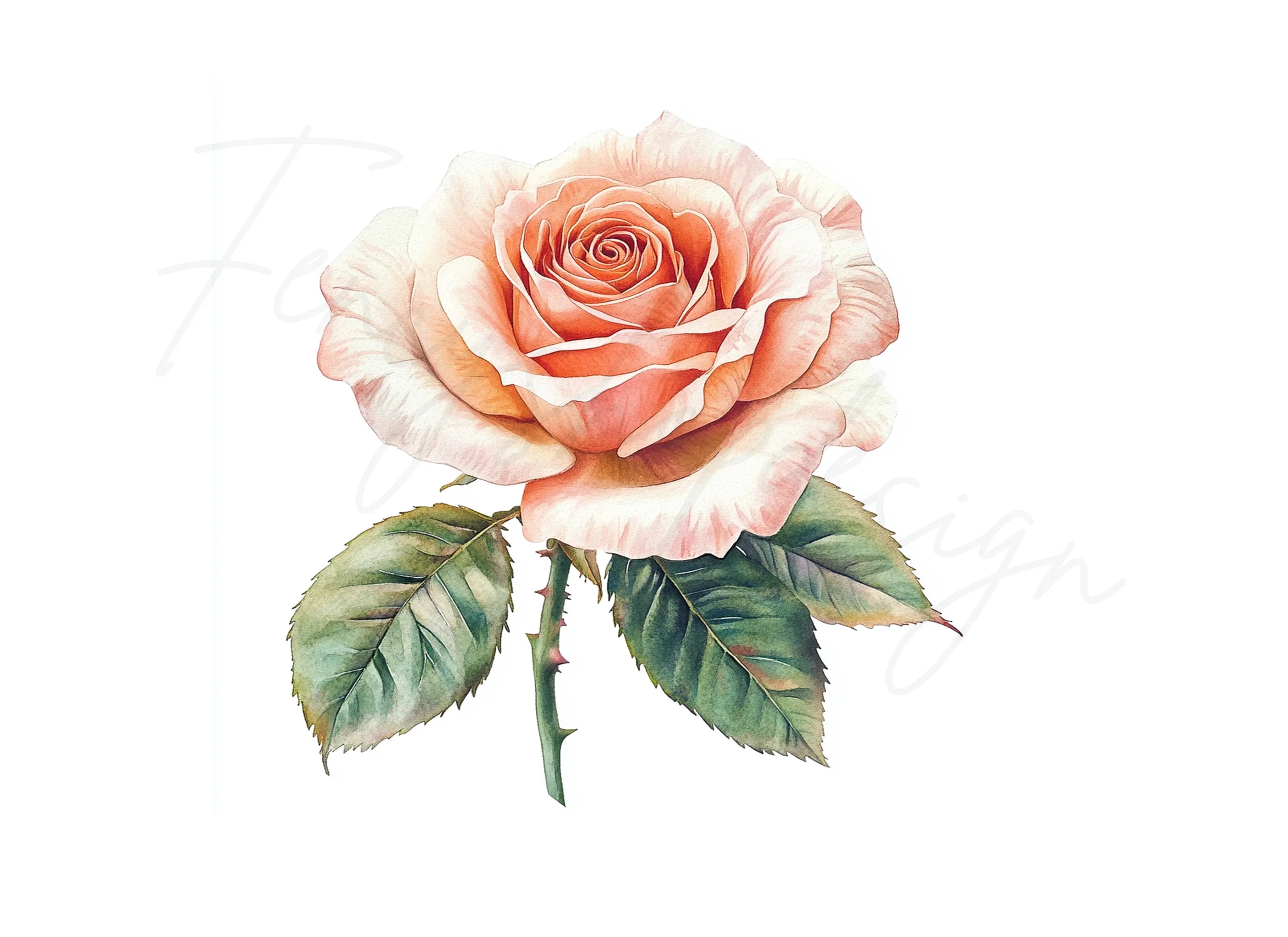 Elegant Peach Rose Clipart Bundle