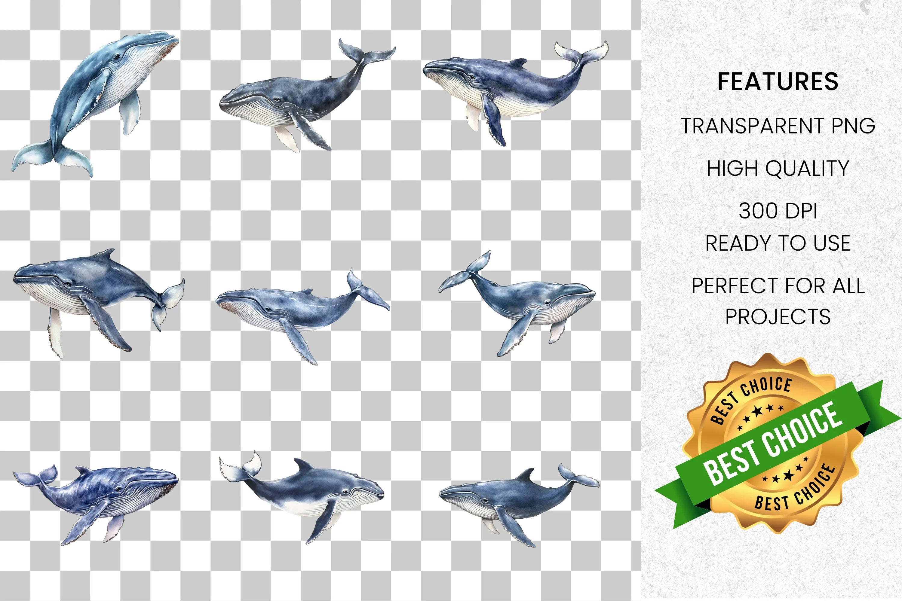Majestic Whale Clipart Bundle