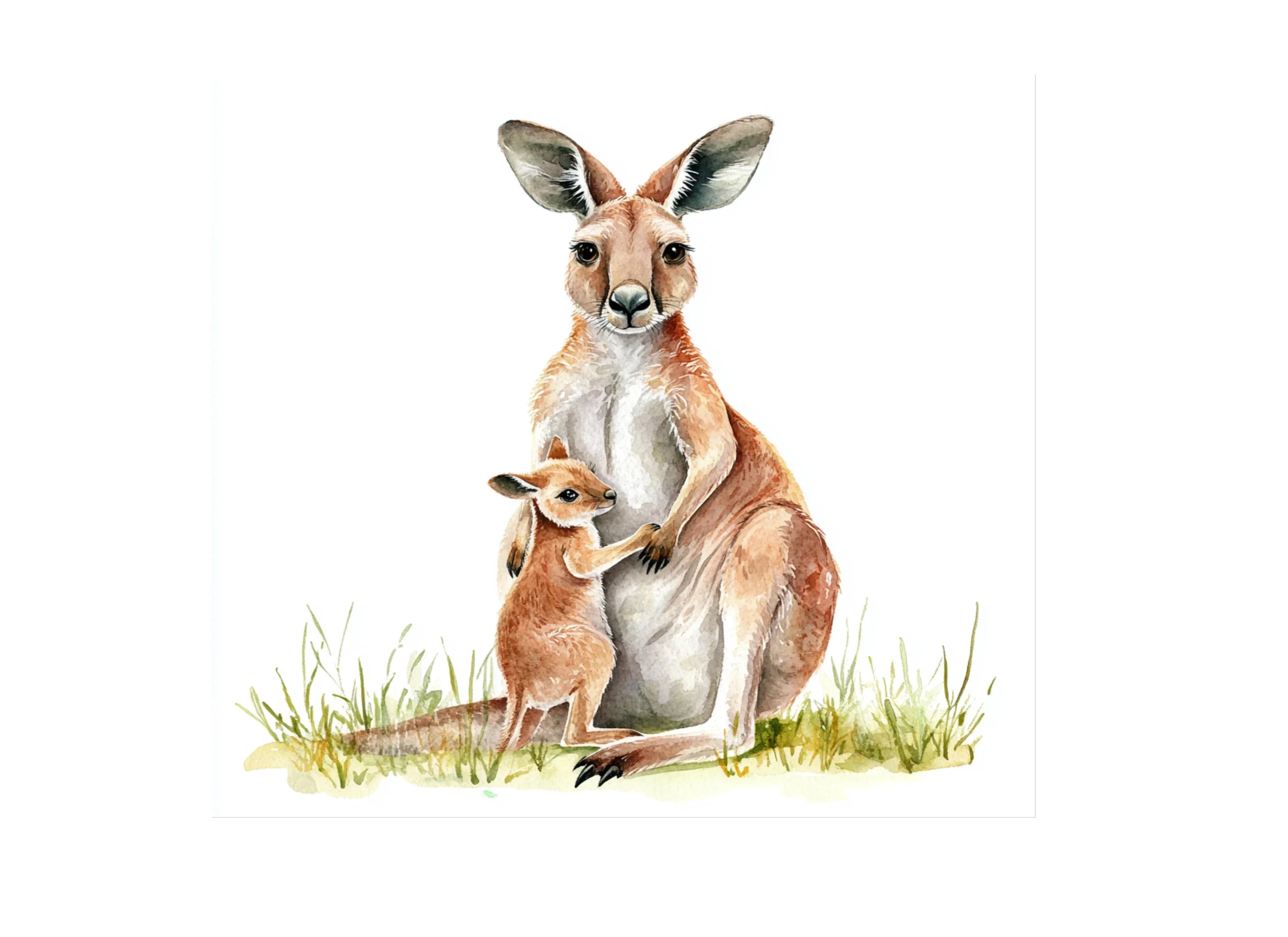 Kangaroo Family Illustration Clipart Bundle
