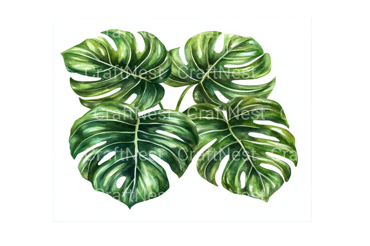Monstera Leaves Clipart Bundle