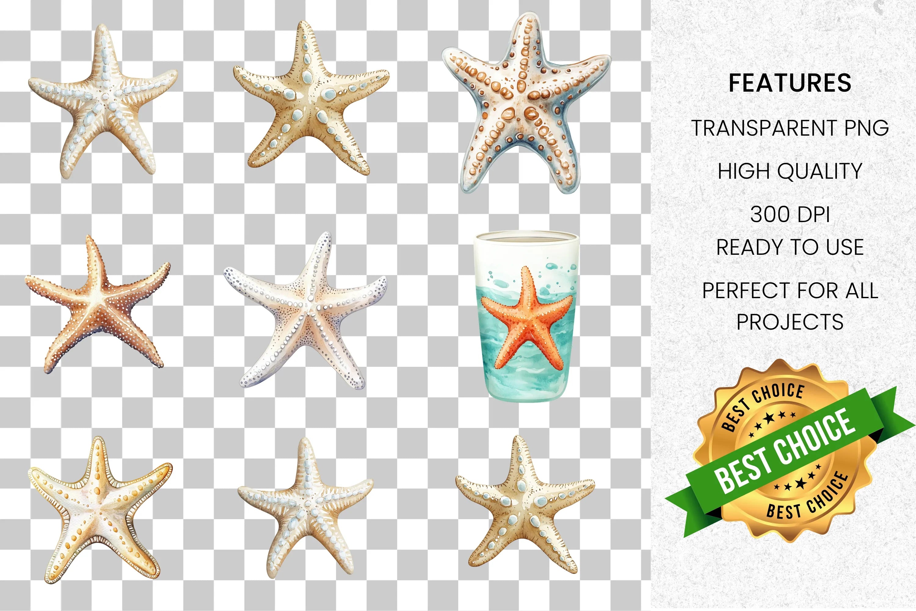 Realistic Ocean Starfish Clipart Bundle